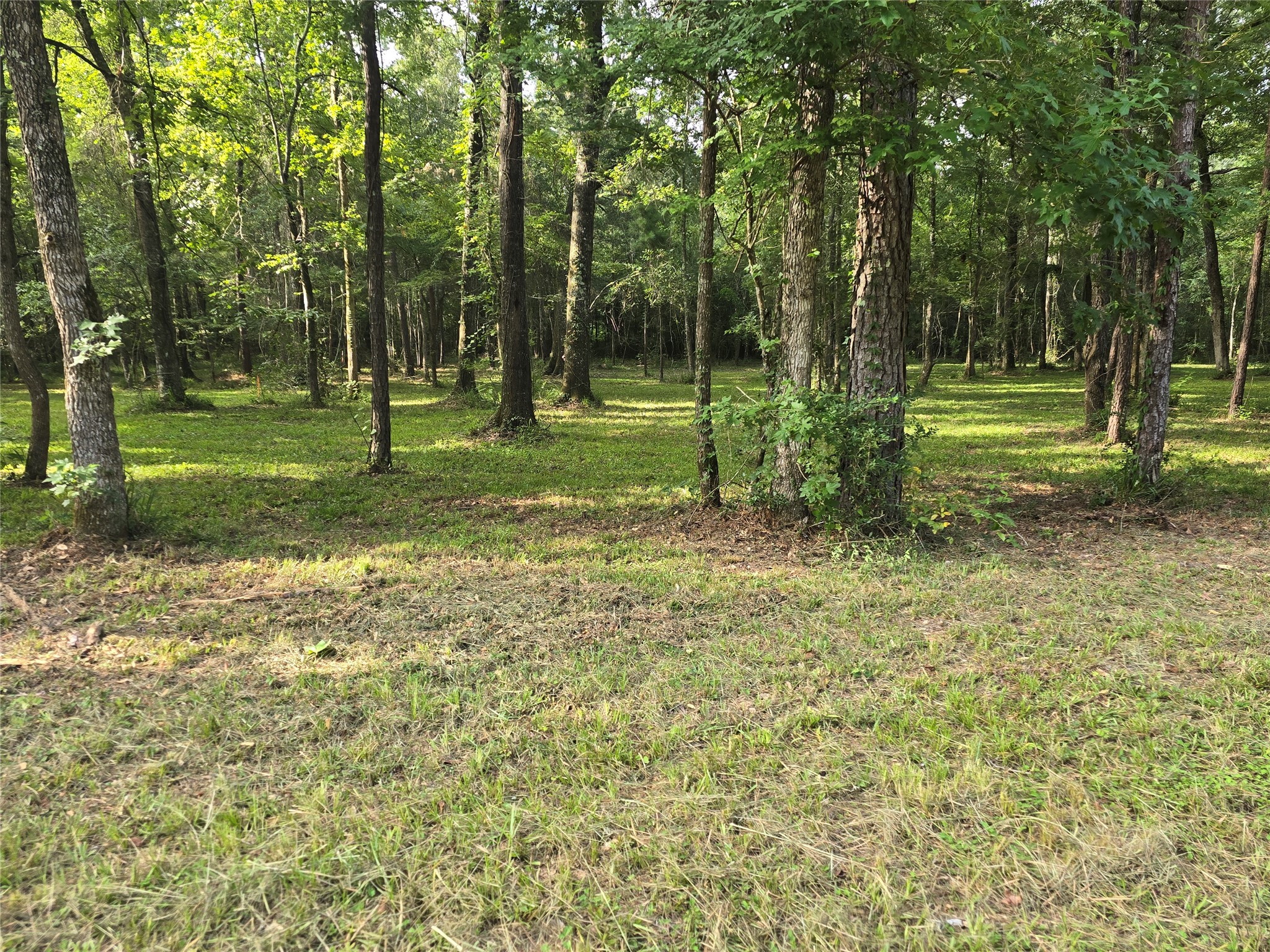 00 Tbd Hwy 150 W Property Photo 6