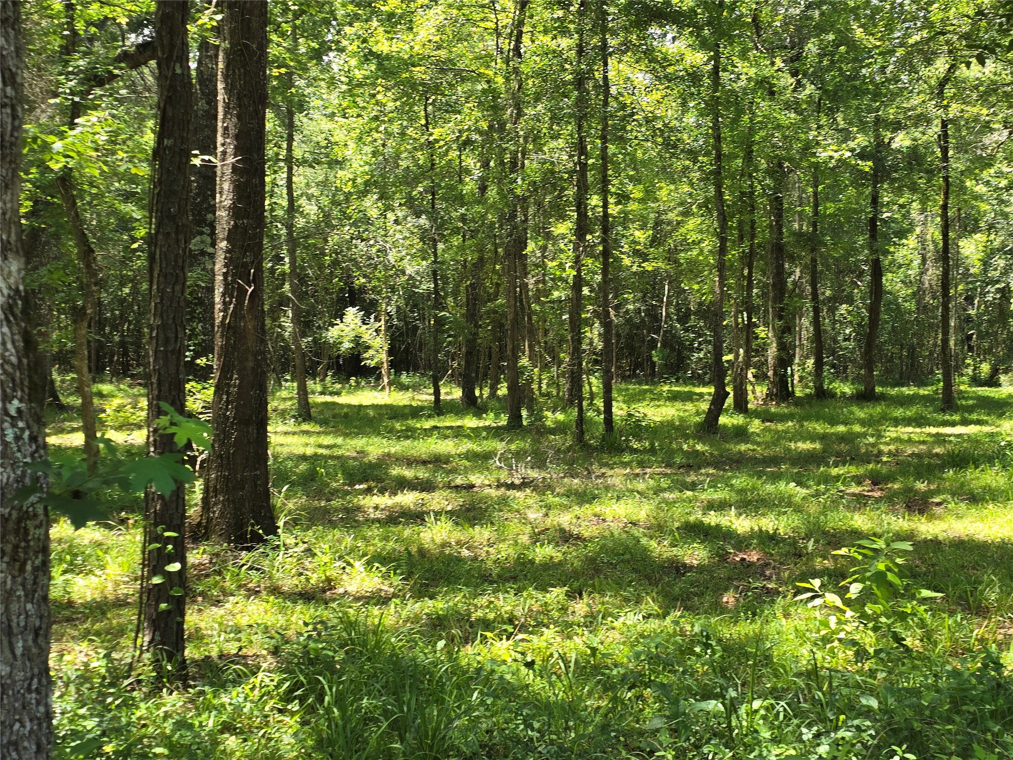 00 Tbd Hwy 150 W Property Photo 8