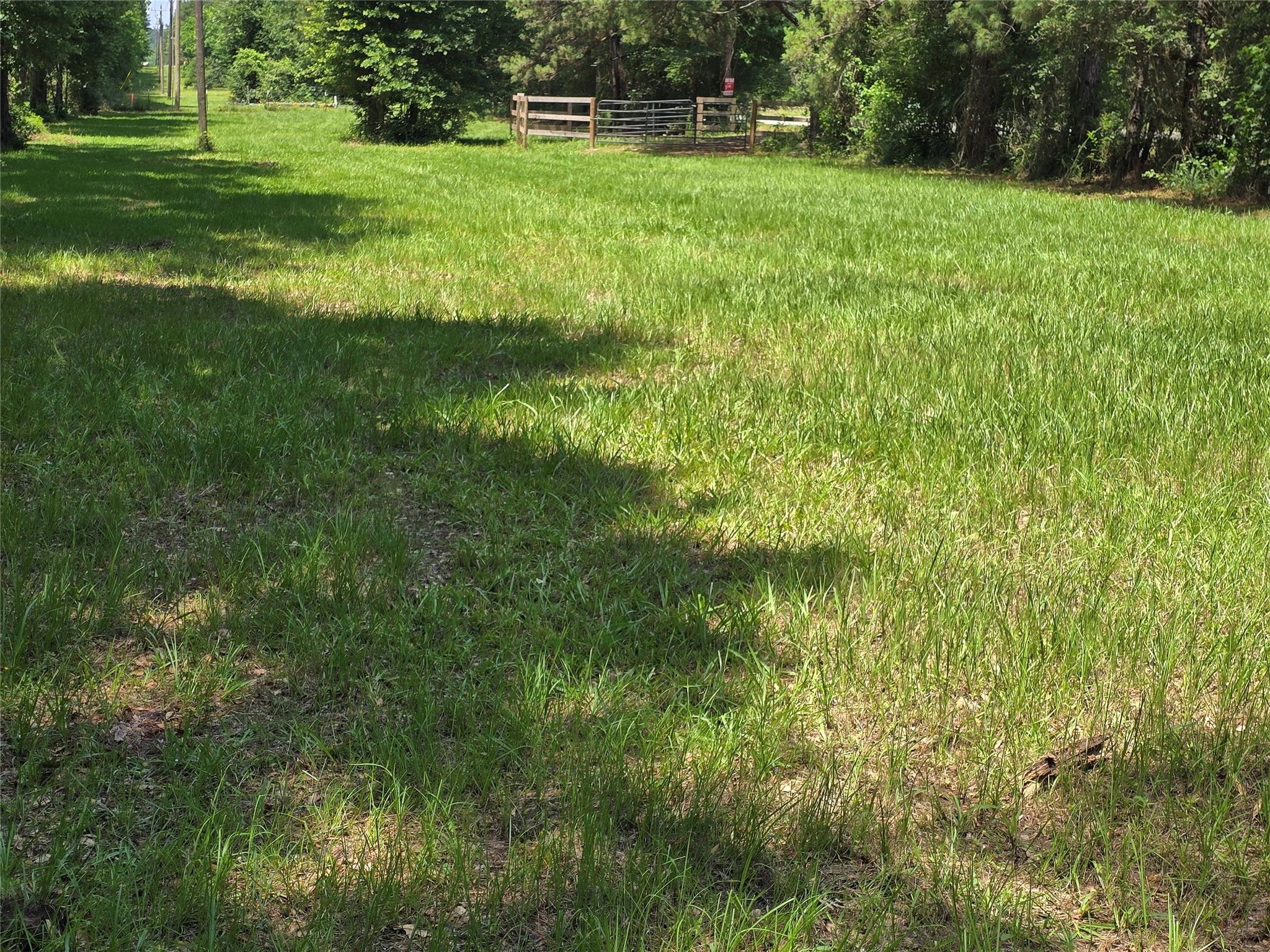 00 Tbd Hwy 150 W Property Photo 11