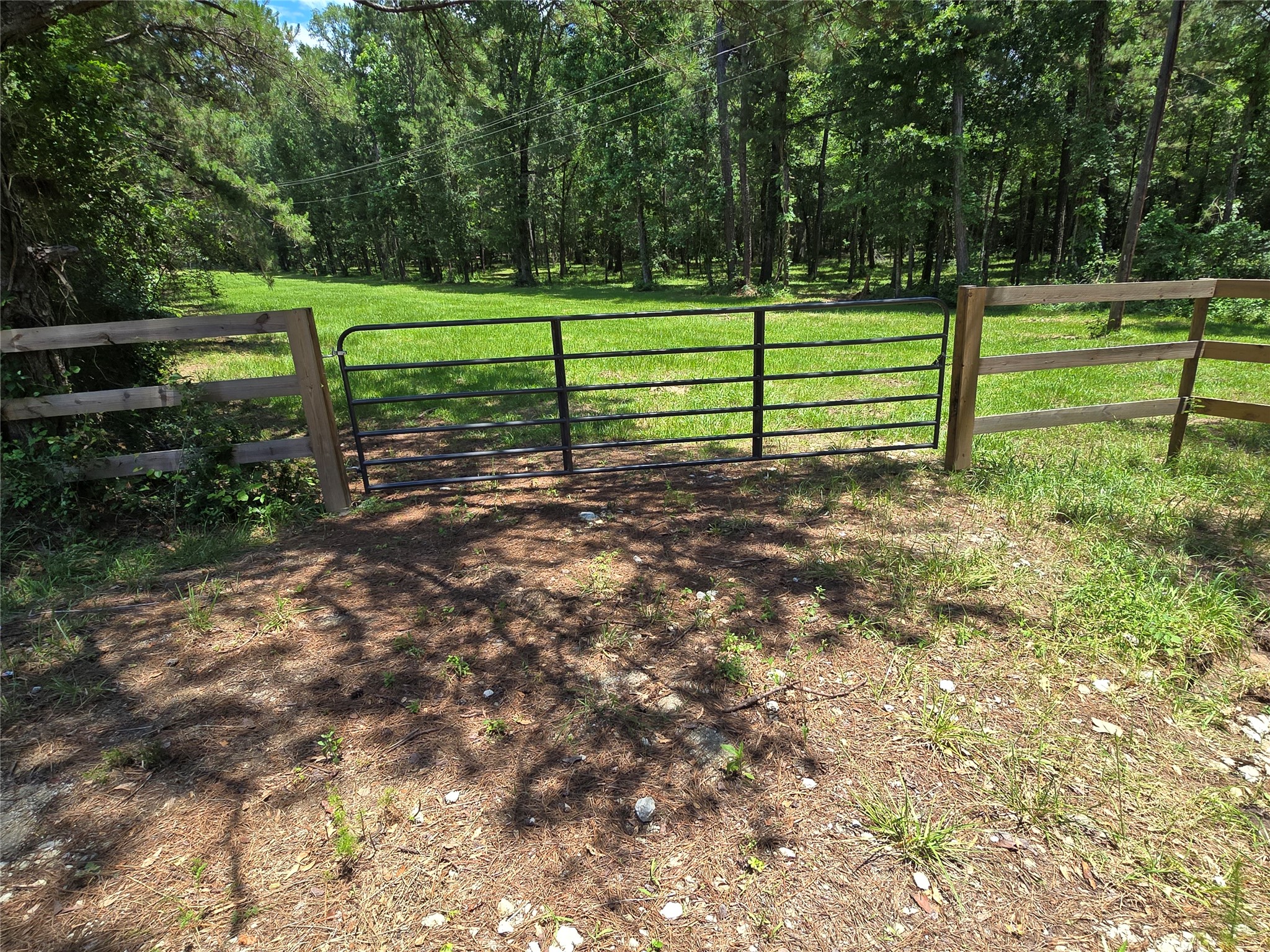 00 Tbd Hwy 150 W Property Photo 12