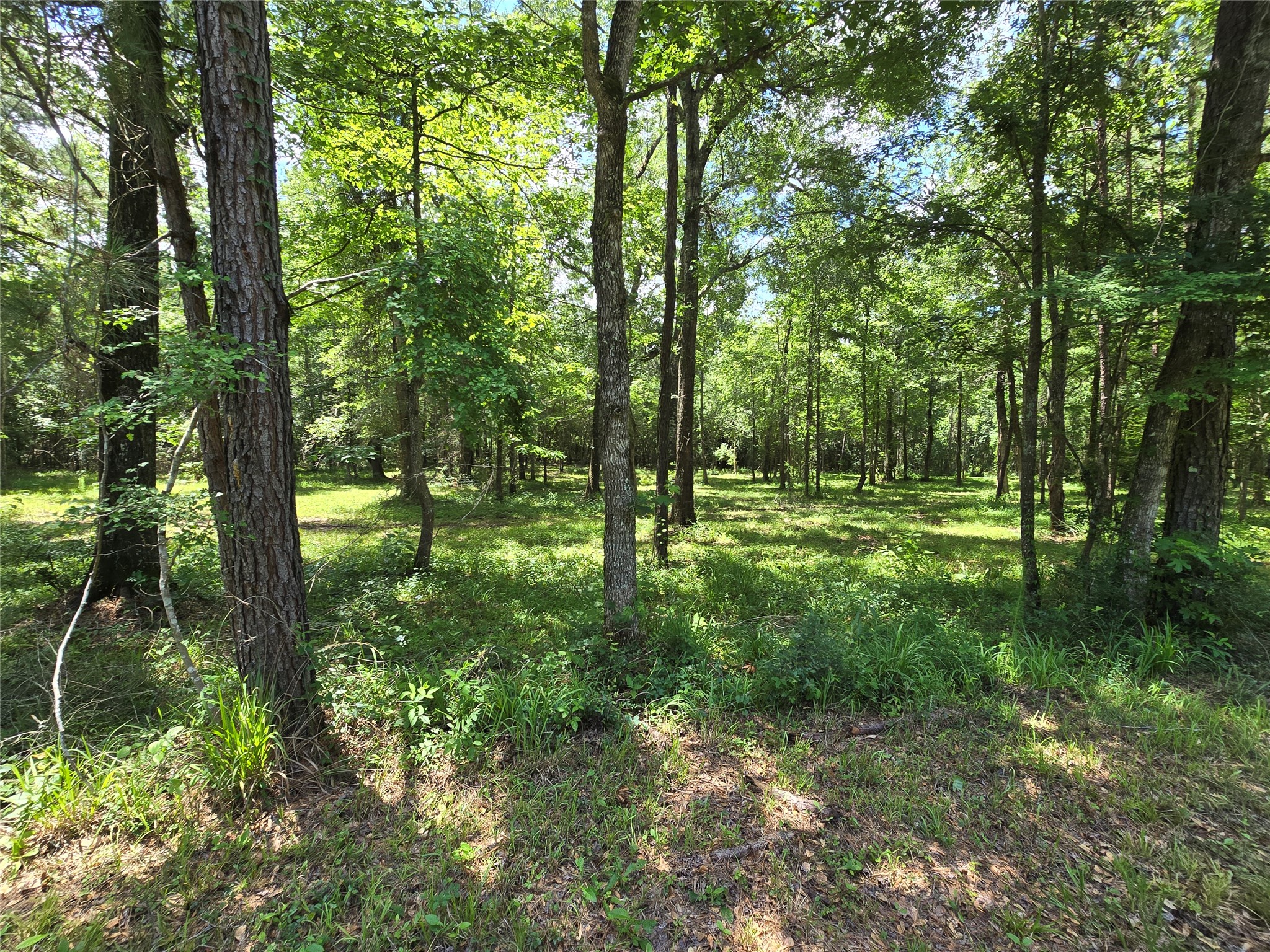 00 Tbd Hwy 150 W Property Photo 14