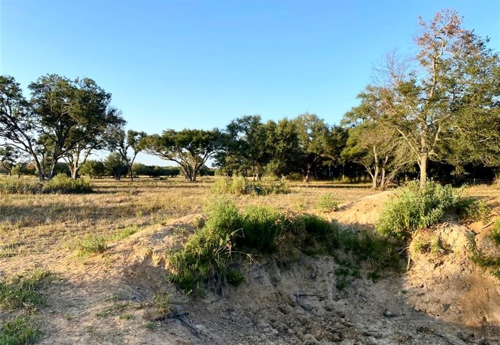 1253 2152 Property Photo