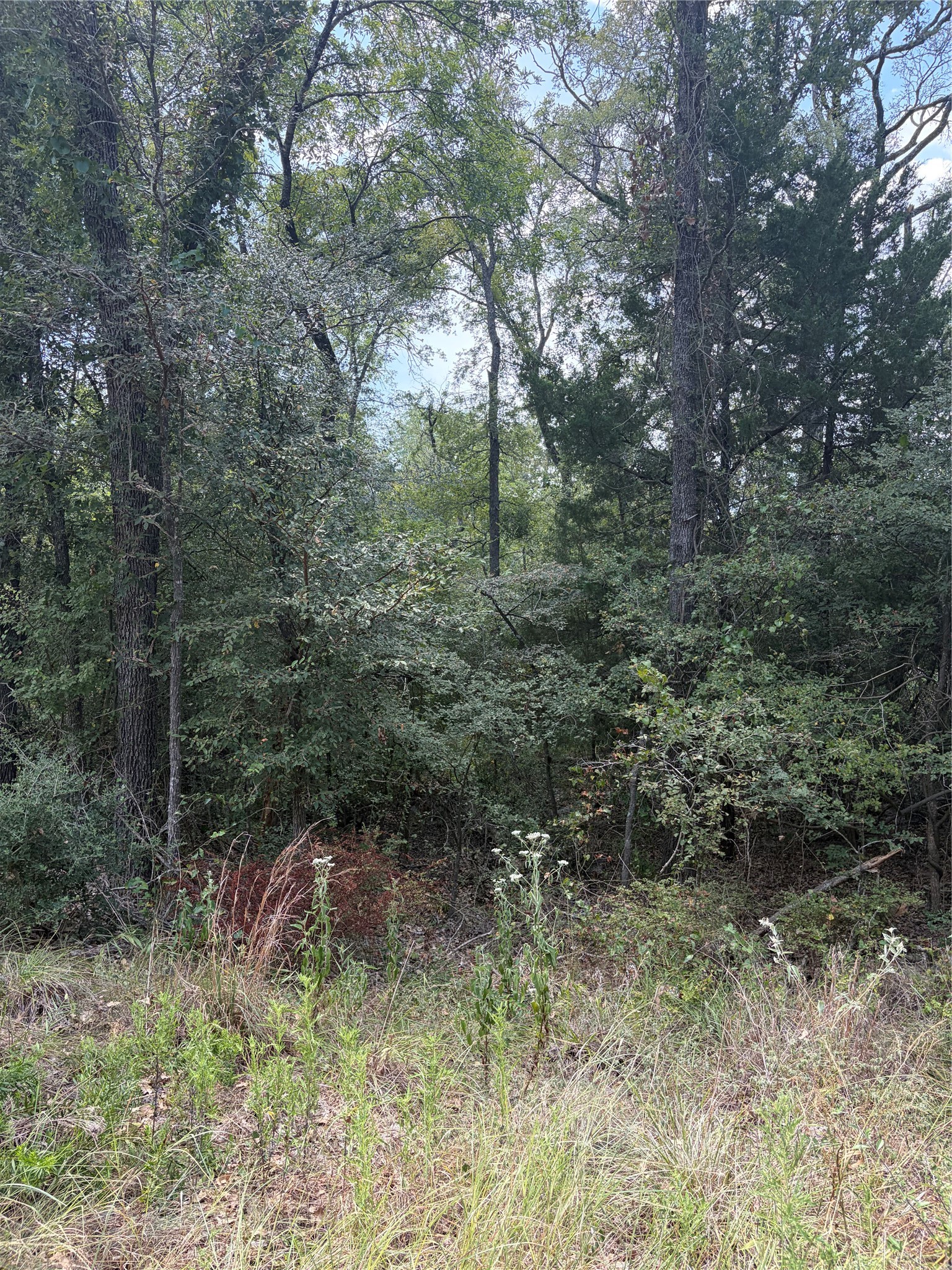 727 Hollow Bend Property Photo 4