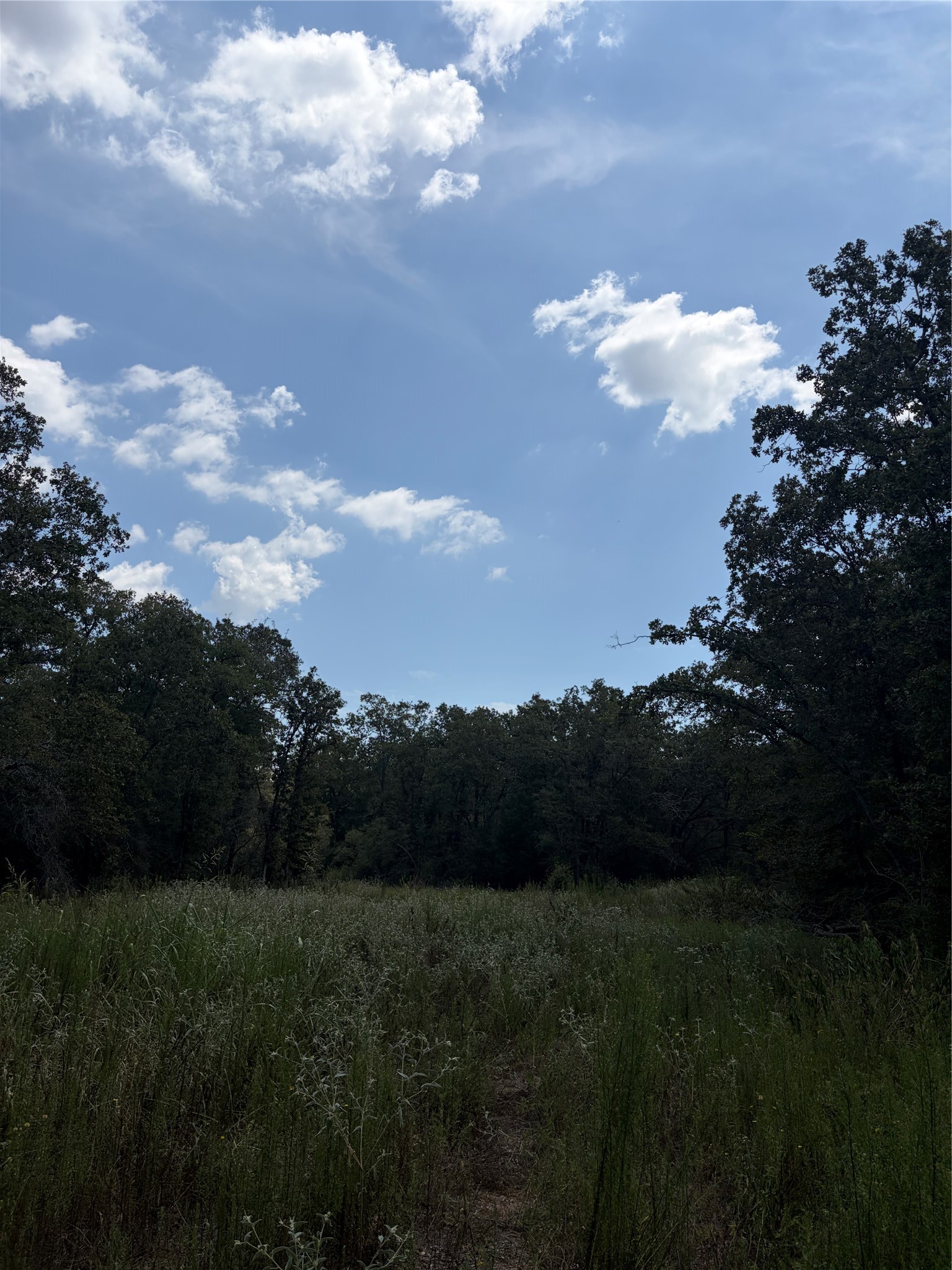 727 Hollow Bend Property Photo 6
