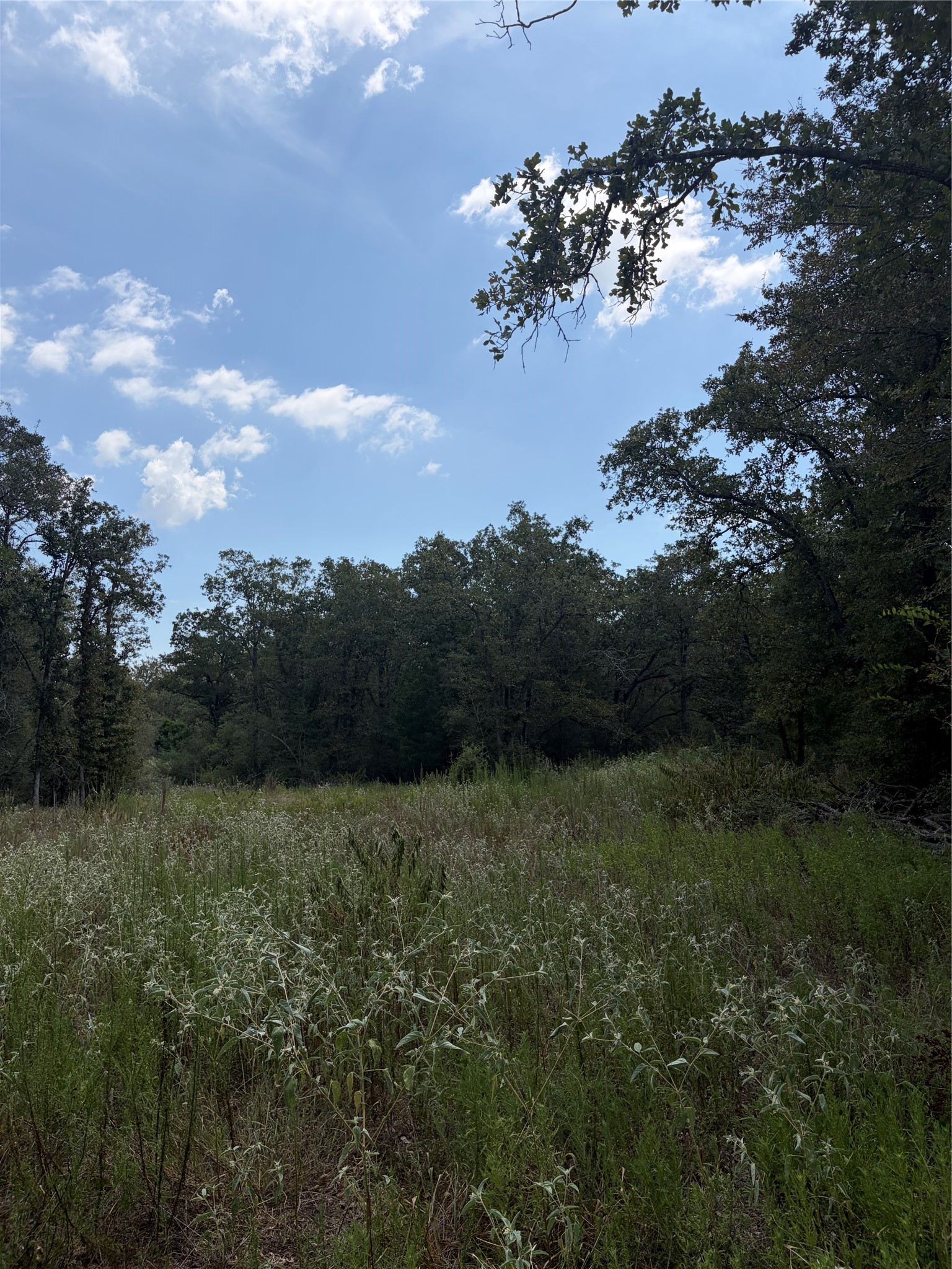 727 Hollow Bend Property Photo 7