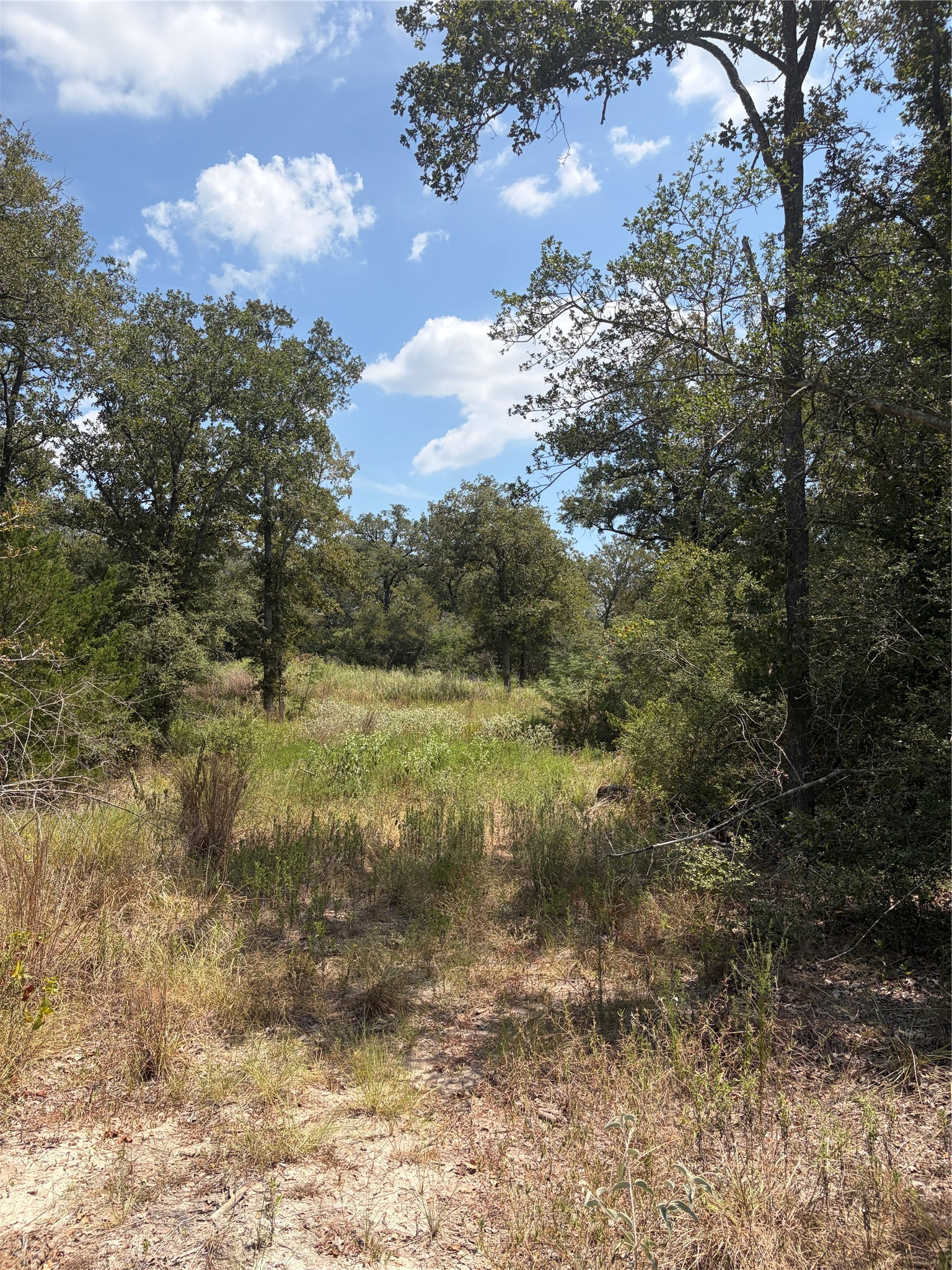 727 Hollow Bend Property Photo 8