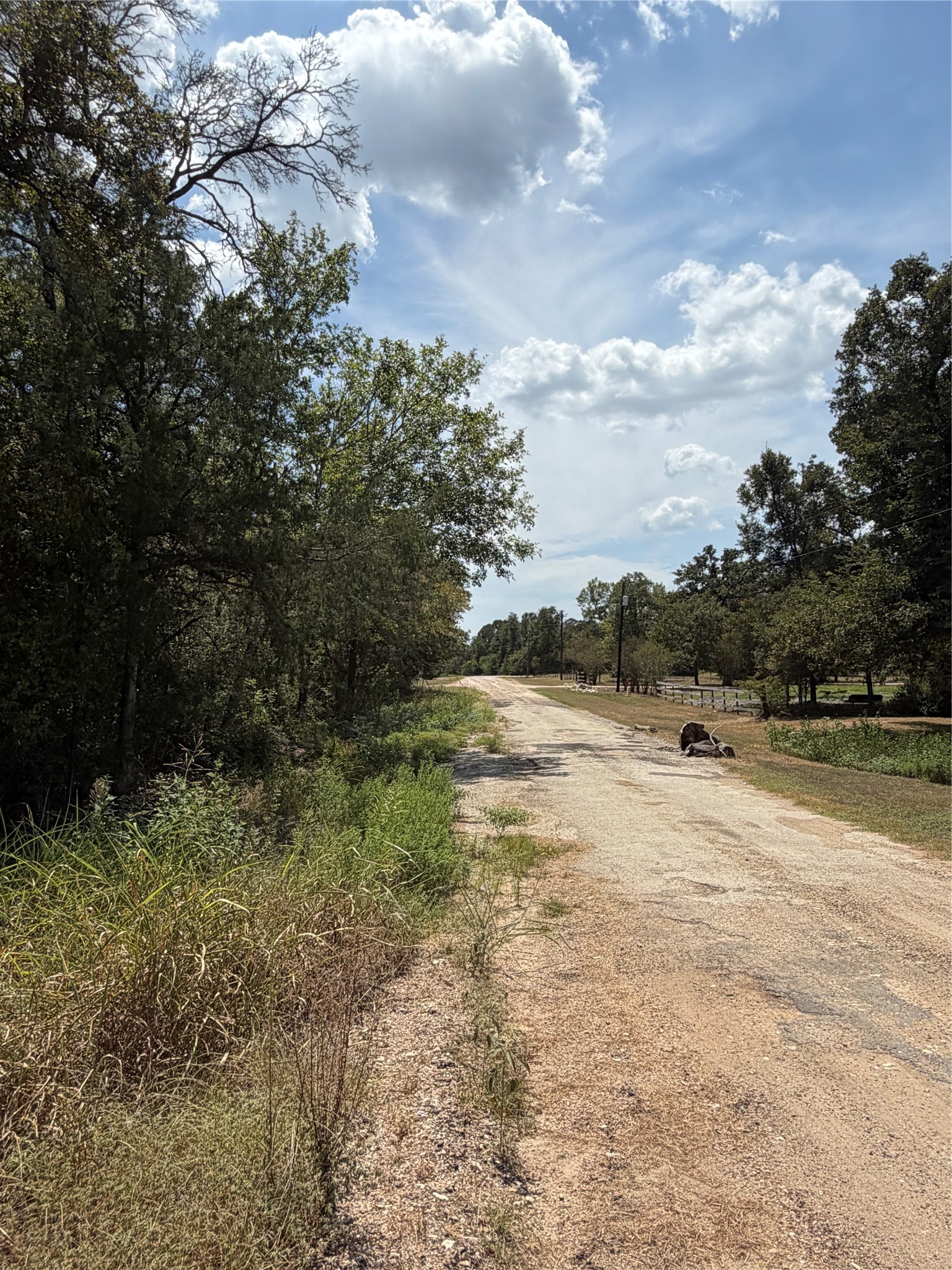 727 Hollow Bend Property Photo 9