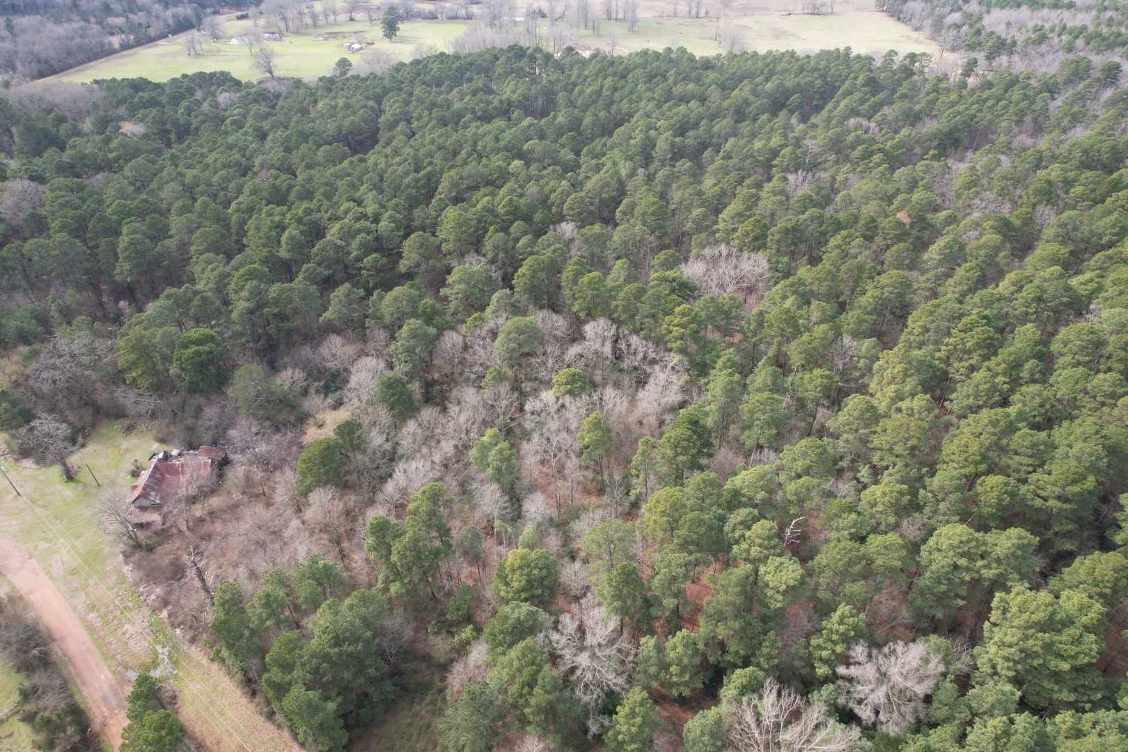 Tbd County Road 3156 Property Photo