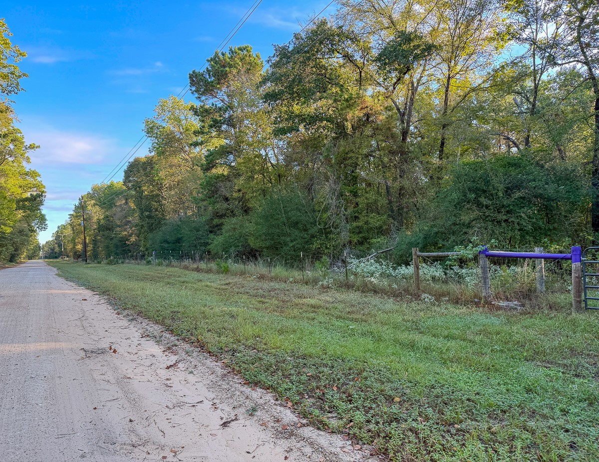 8775 Old Highway 19 Property Photo 11