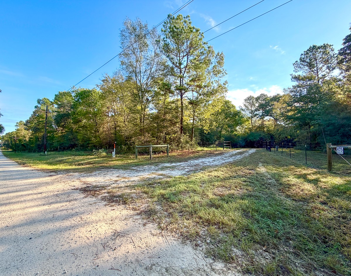 8775 Old Highway 19 Property Photo 12