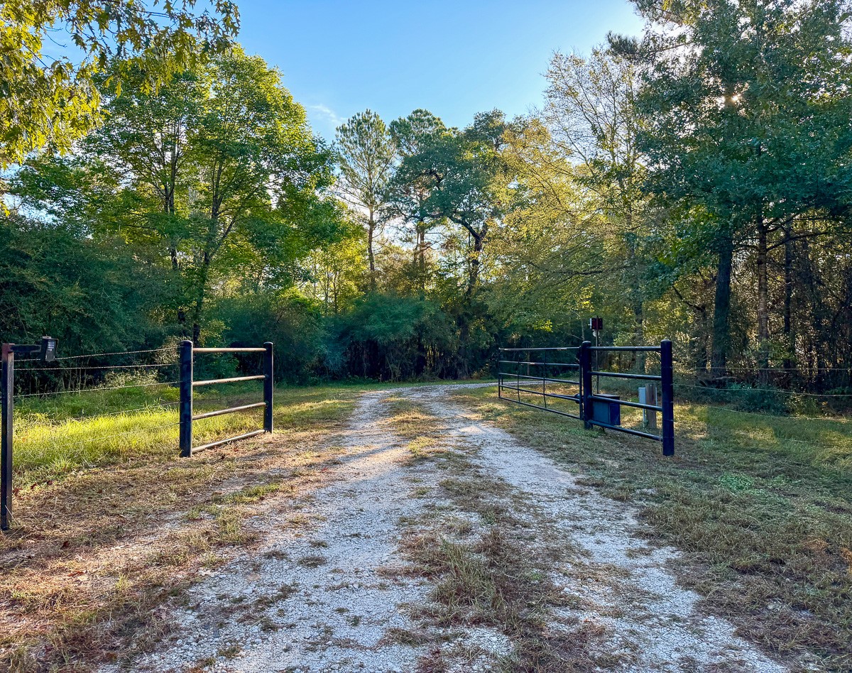8775 Old Highway 19 Property Photo 13