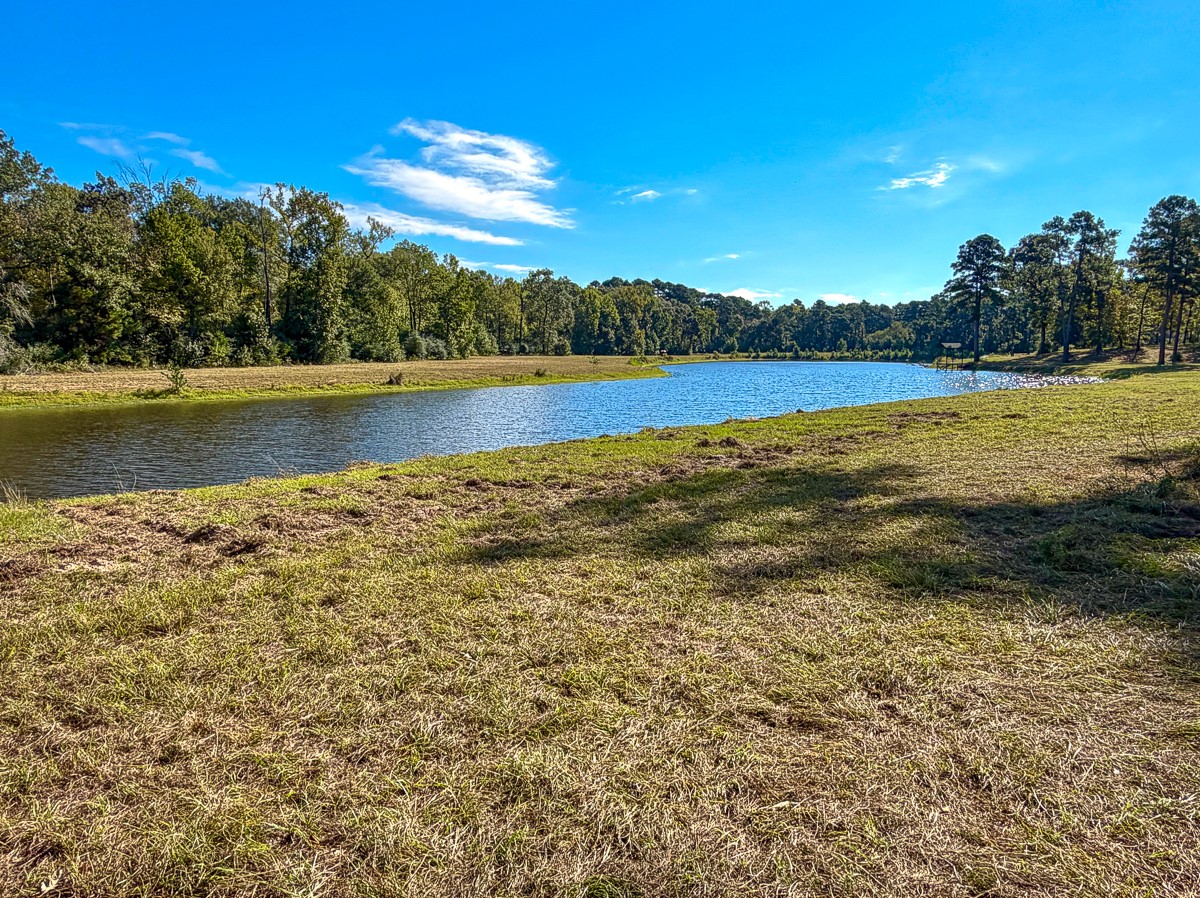8775 Old Highway 19 Property Photo 19