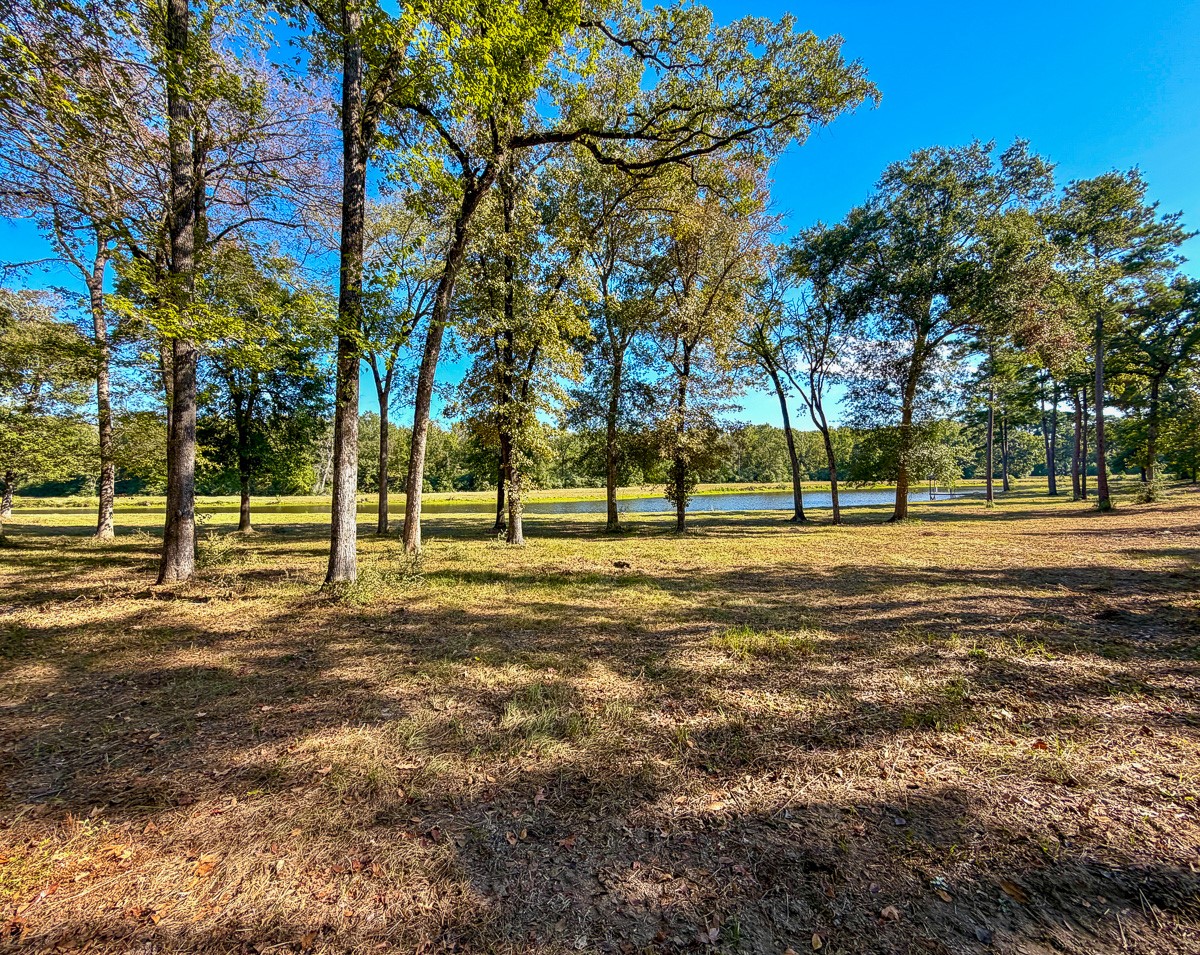 8775 Old Highway 19 Property Photo 20