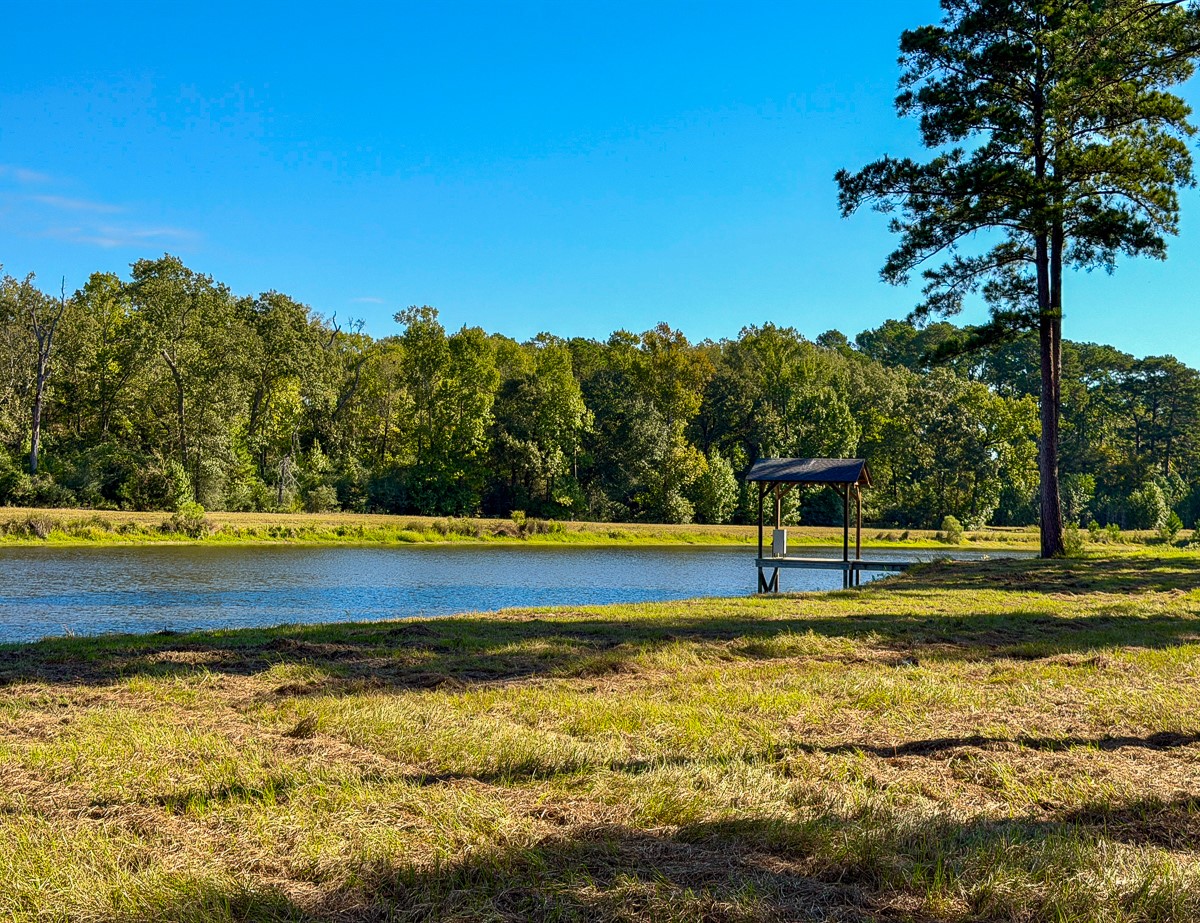 8775 Old Highway 19 Property Photo 21