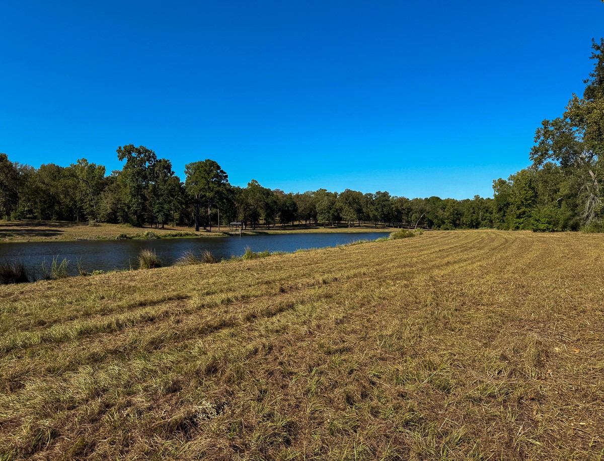 8775 Old Highway 19 Property Photo 24