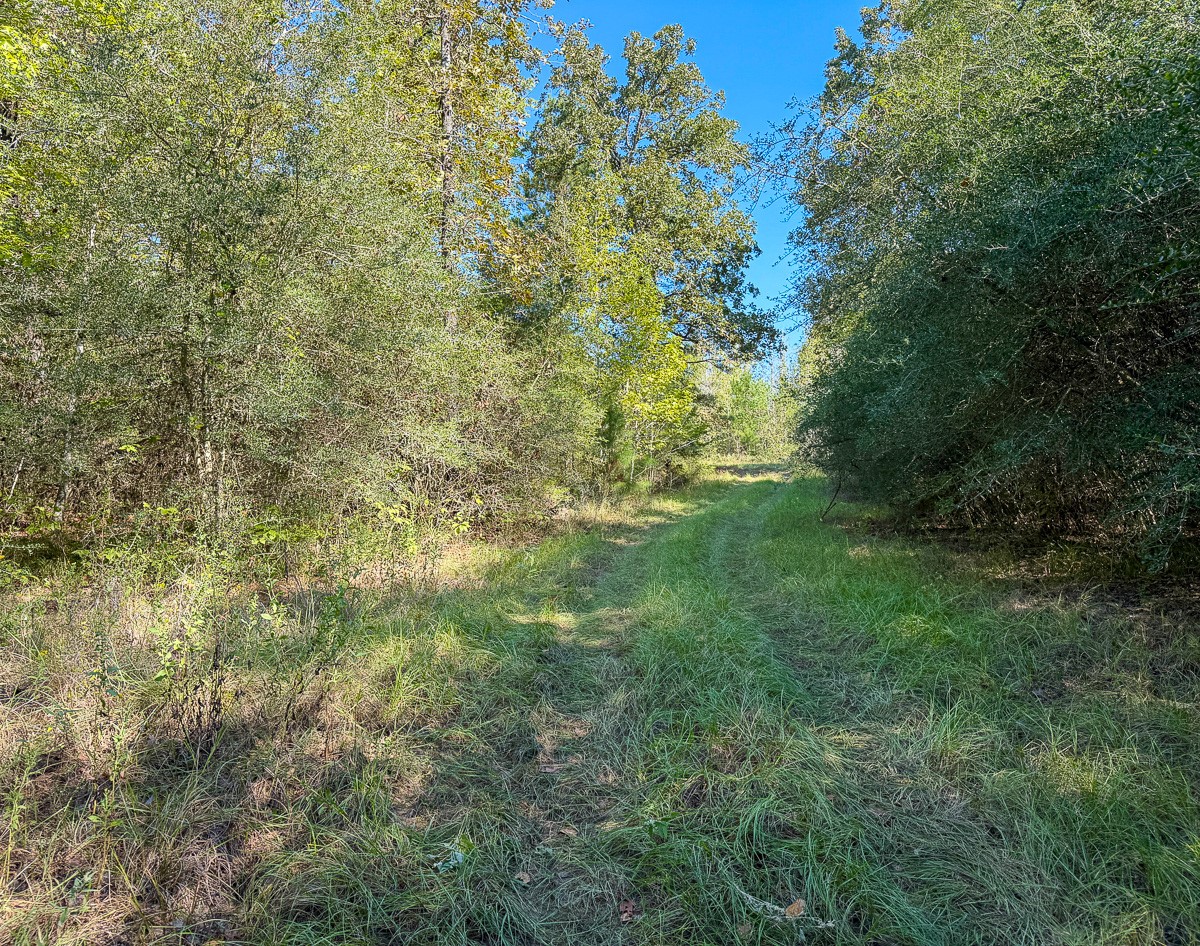 8775 Old Highway 19 Property Photo 26