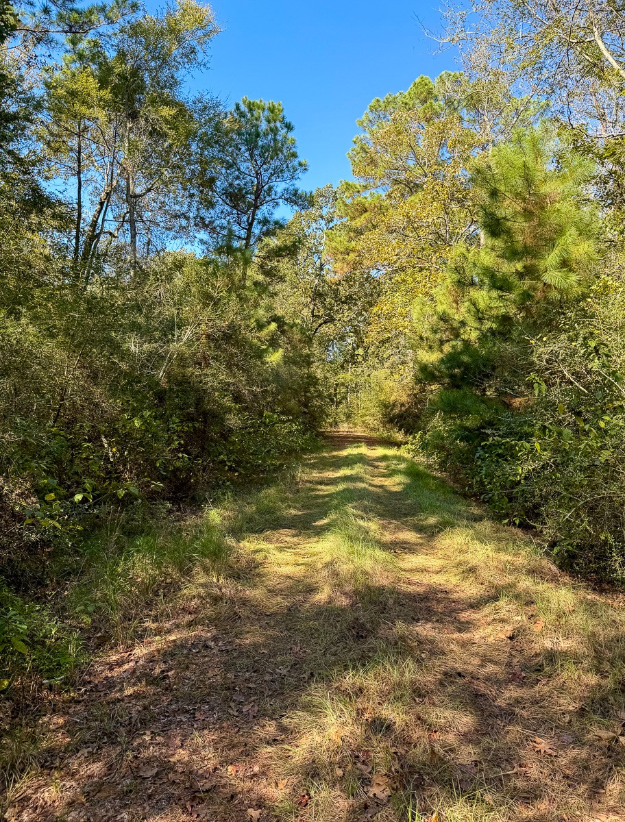 8775 Old Highway 19 Property Photo 27