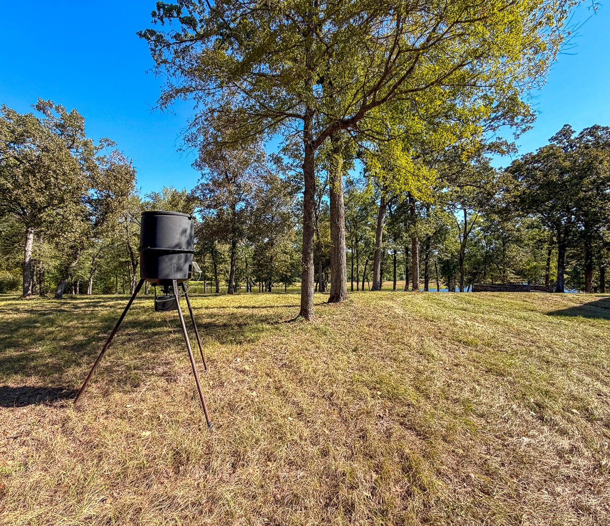 8775 Old Highway 19 Property Photo 30
