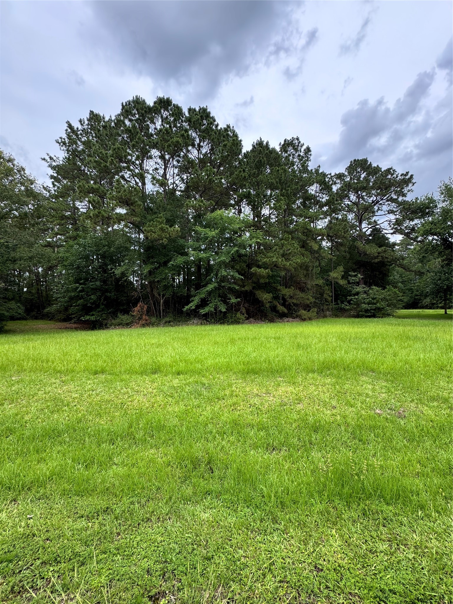 78 Rolling Springs Property Photo 2
