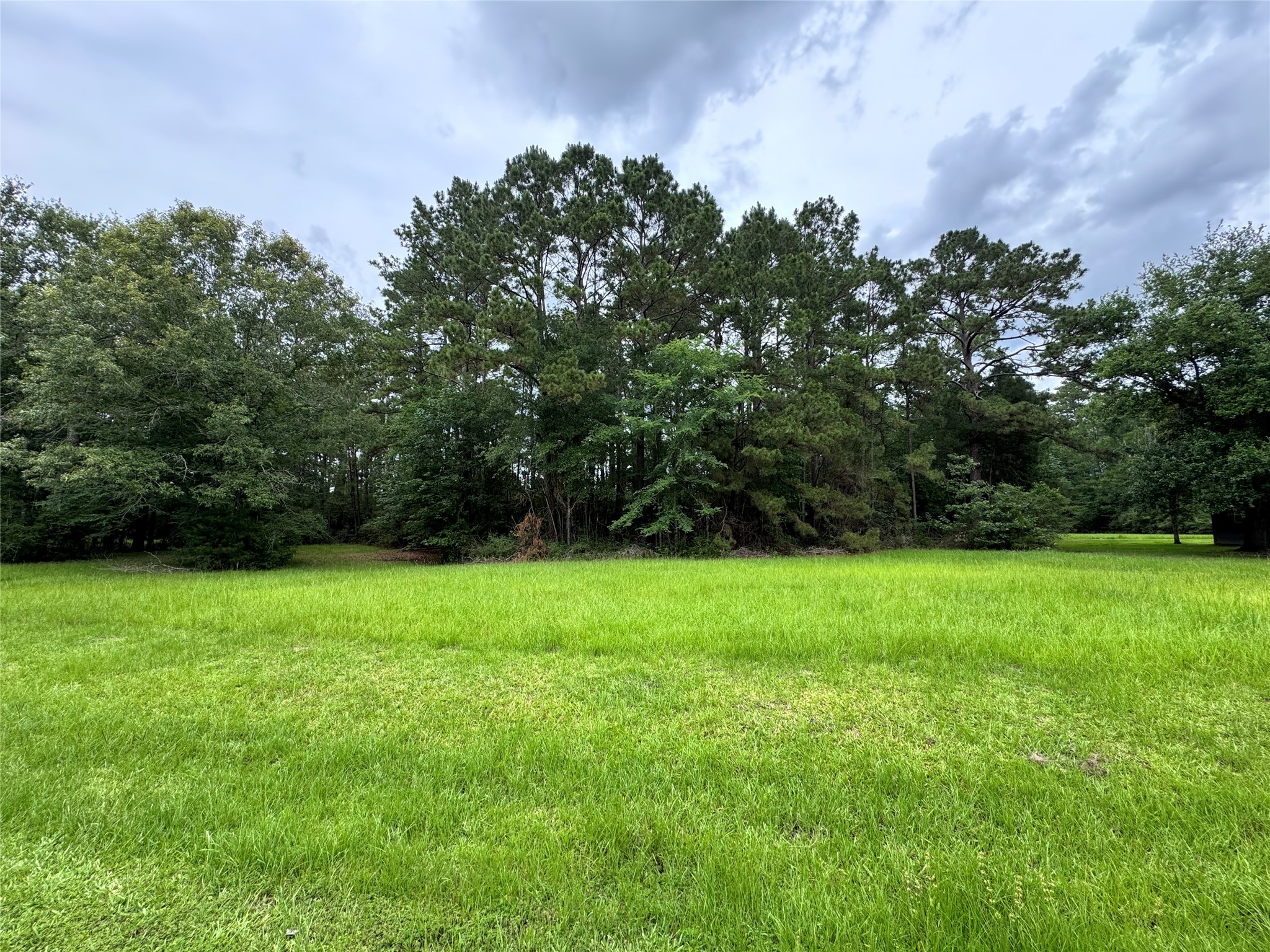 78 Rolling Springs Property Photo 3