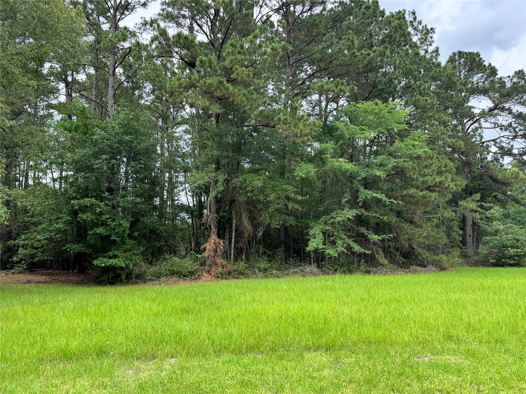 78 Rolling Springs Property Photo 4