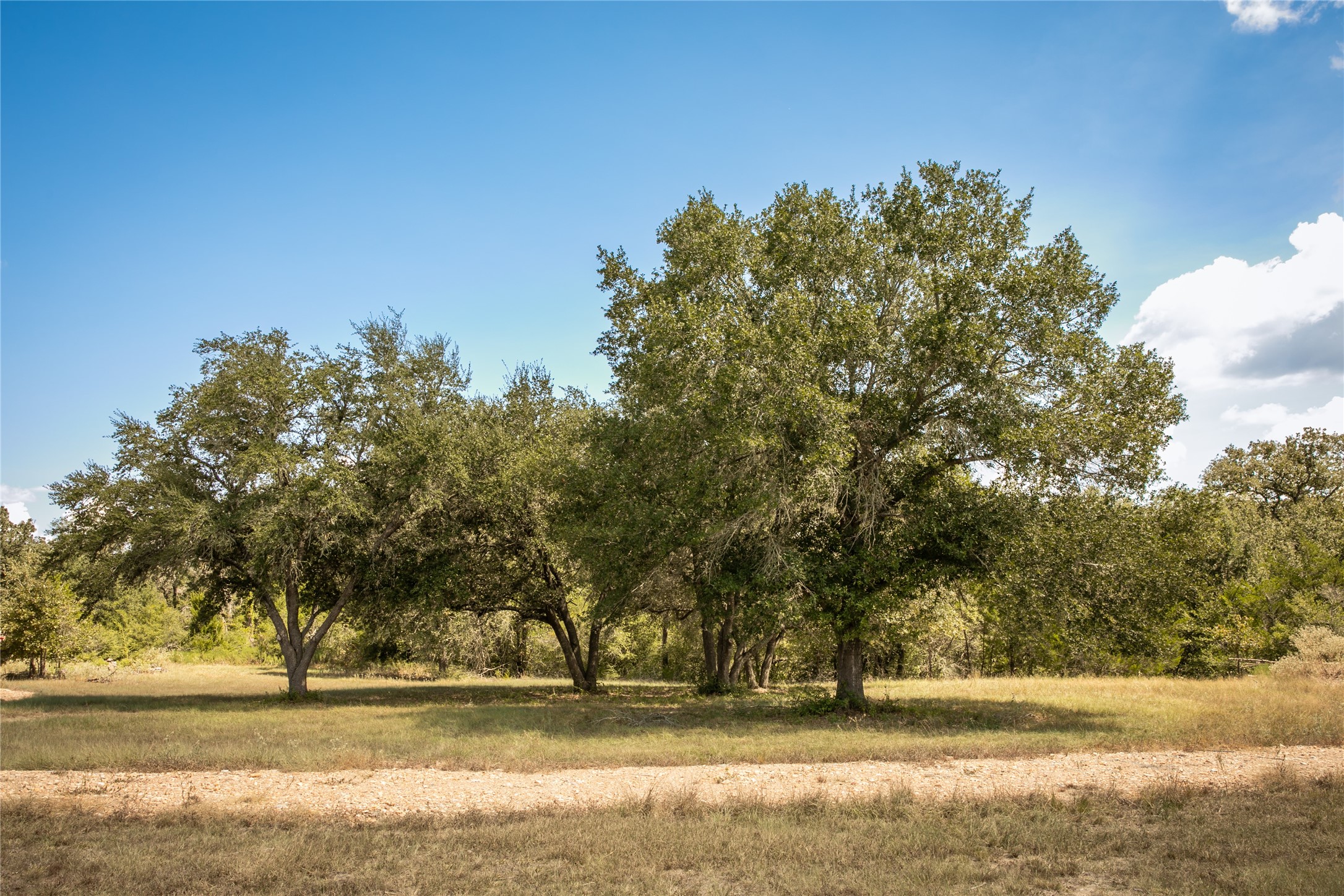 5848 Fm 180 Property Photo 3
