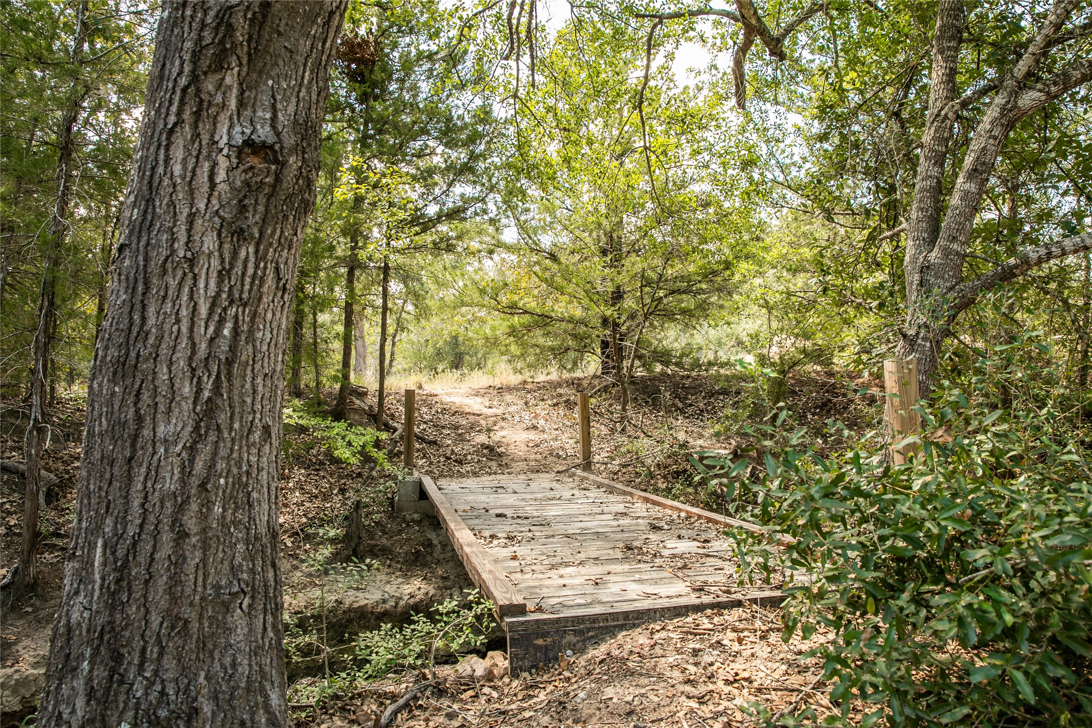 5848 Fm 180 Property Photo 5