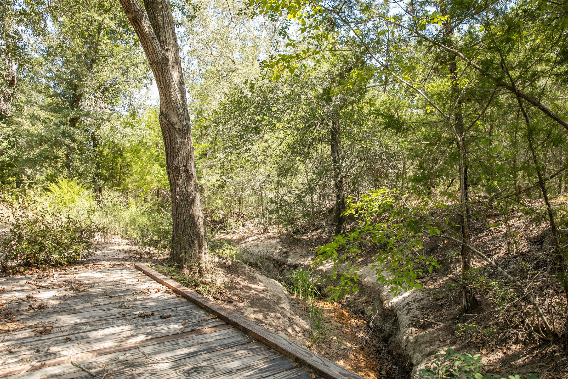 5848 Fm 180 Property Photo 6