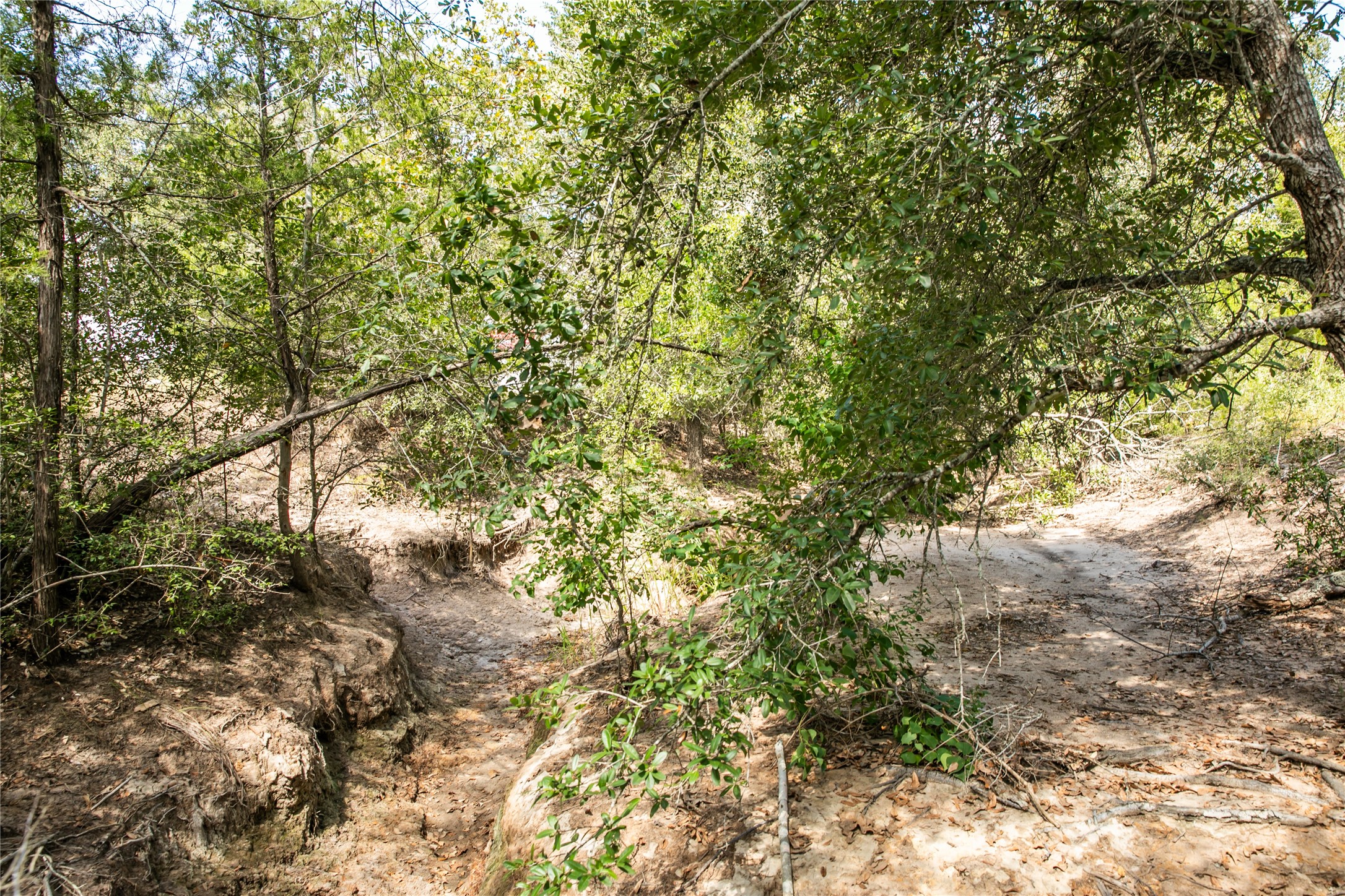 5848 Fm 180 Property Photo 7
