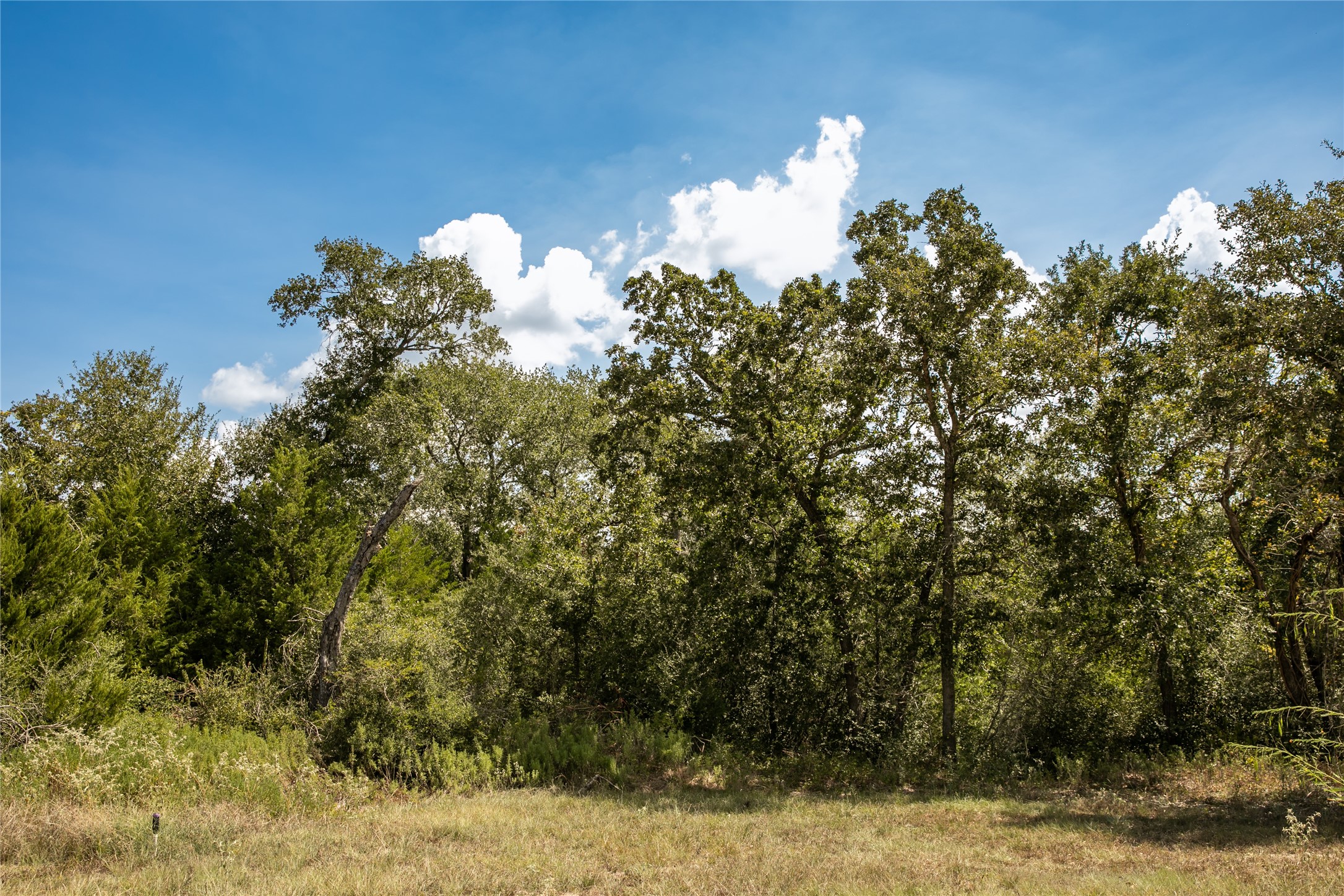 5848 Fm 180 Property Photo 26