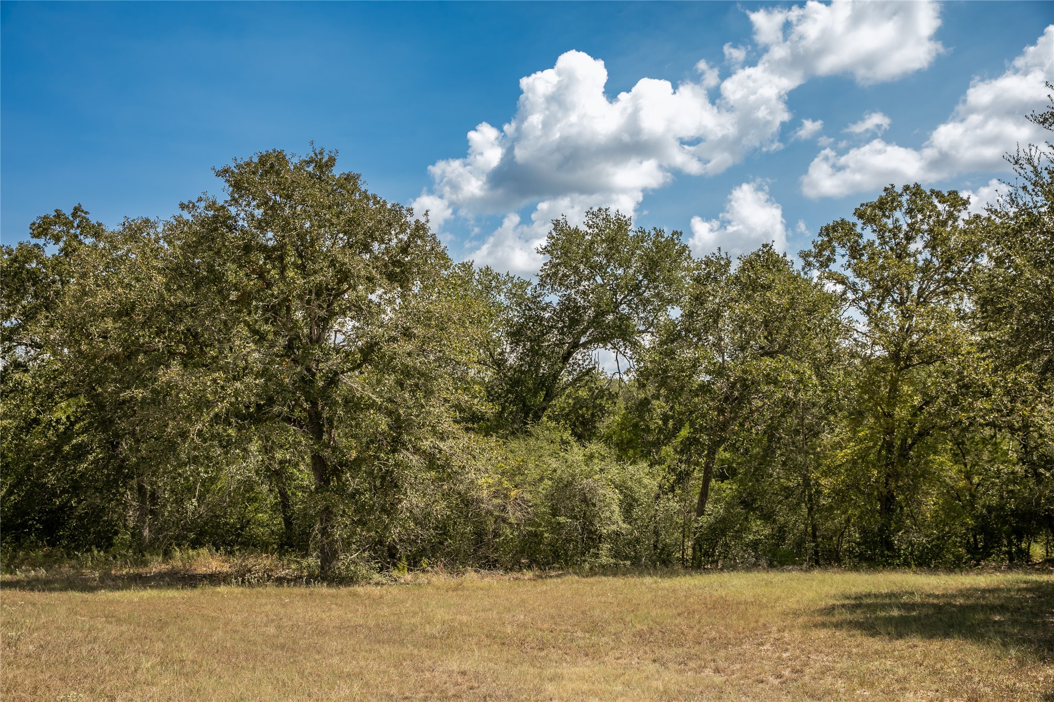 5848 Fm 180 Property Photo 27