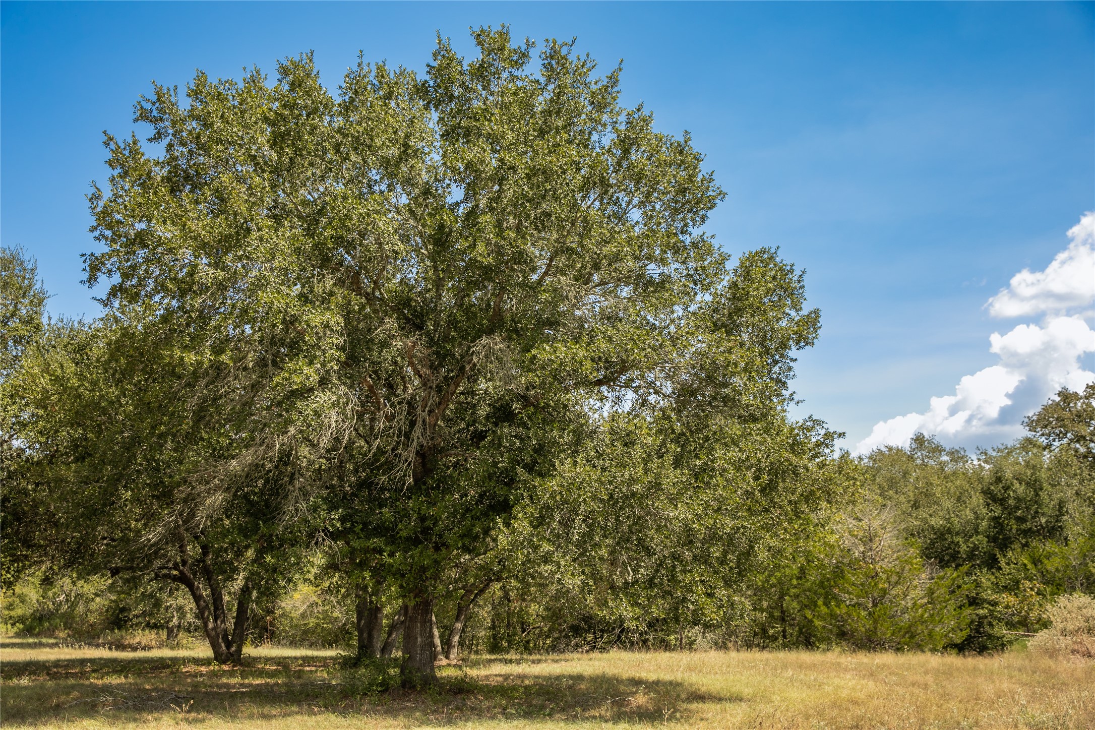 5848 Fm 180 Property Photo 28