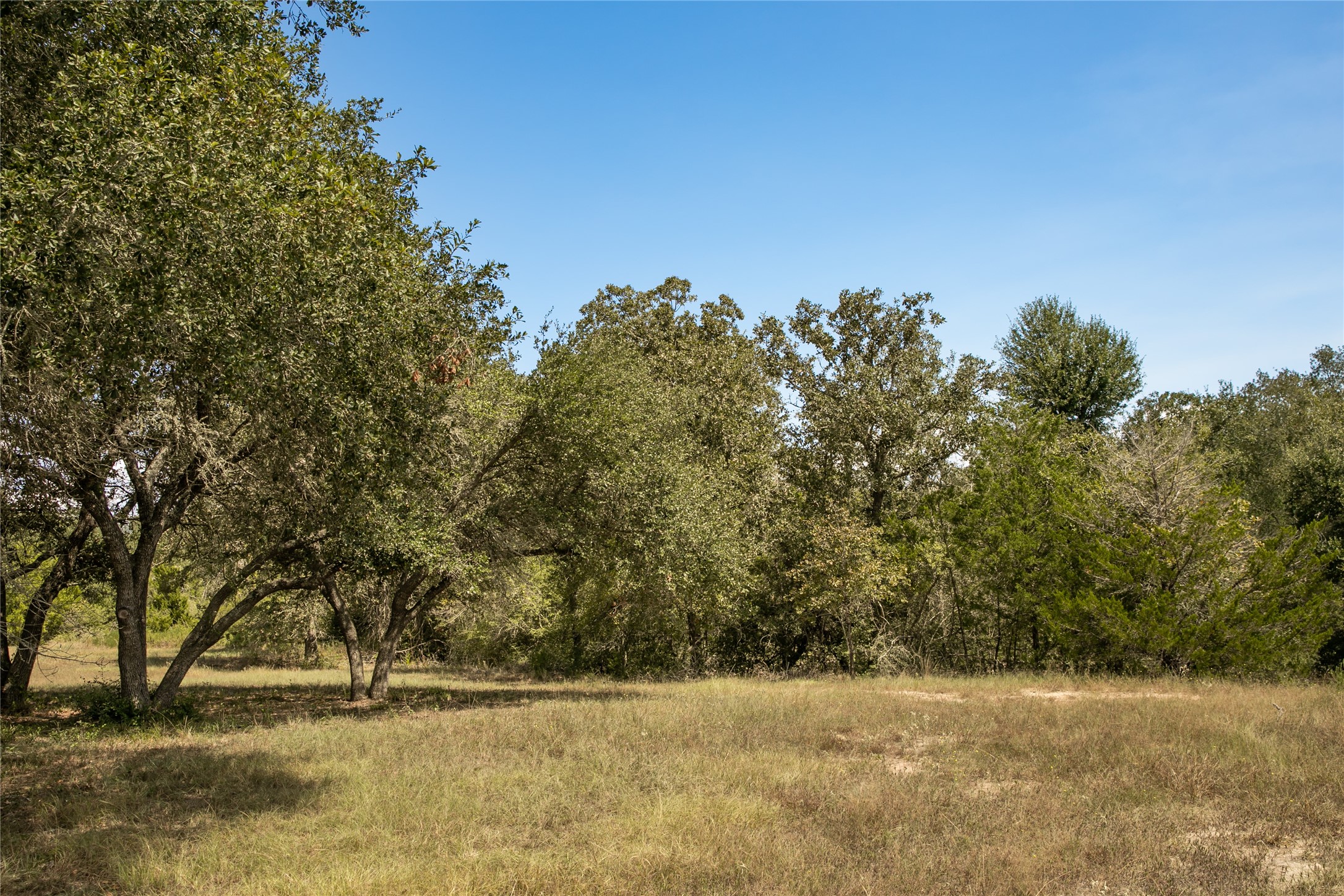5848 Fm 180 Property Photo 29
