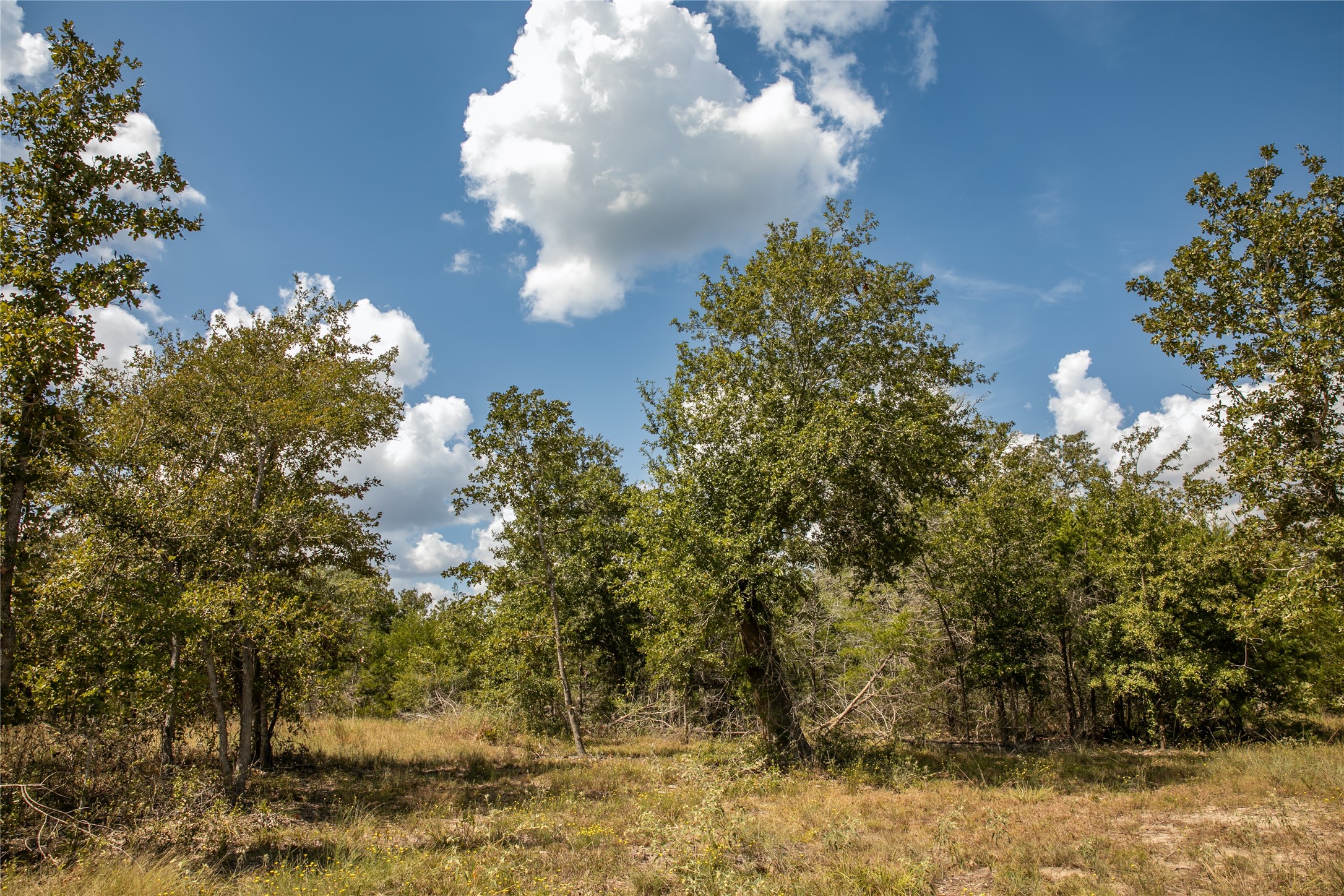 5848 Fm 180 Property Photo 33