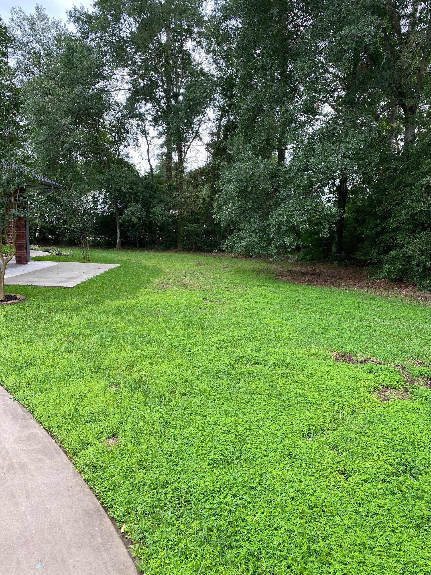 7518 Nickaburr Creek Drive Property Photo 3