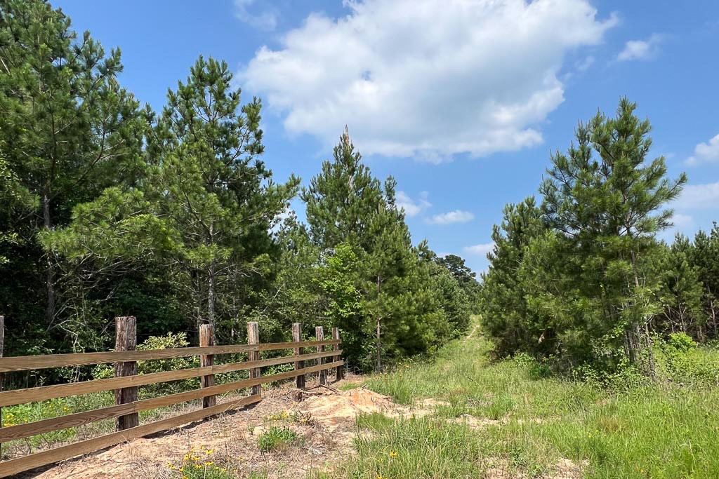 0004 Sh 249 Property Photo 2