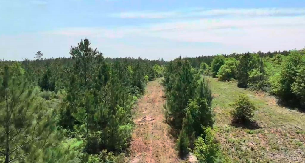 0004 Sh 249 Property Photo 3