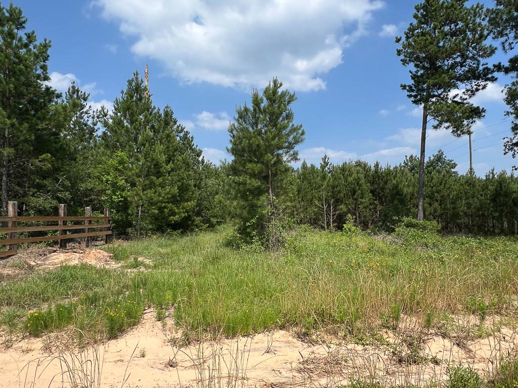 0004 Sh 249 Property Photo 6