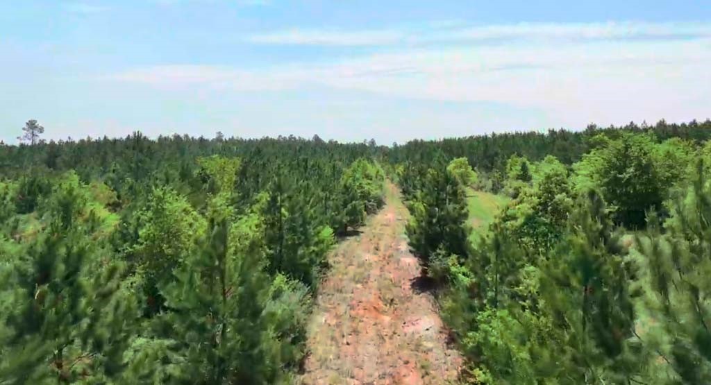 0004 Sh 249 Property Photo 13