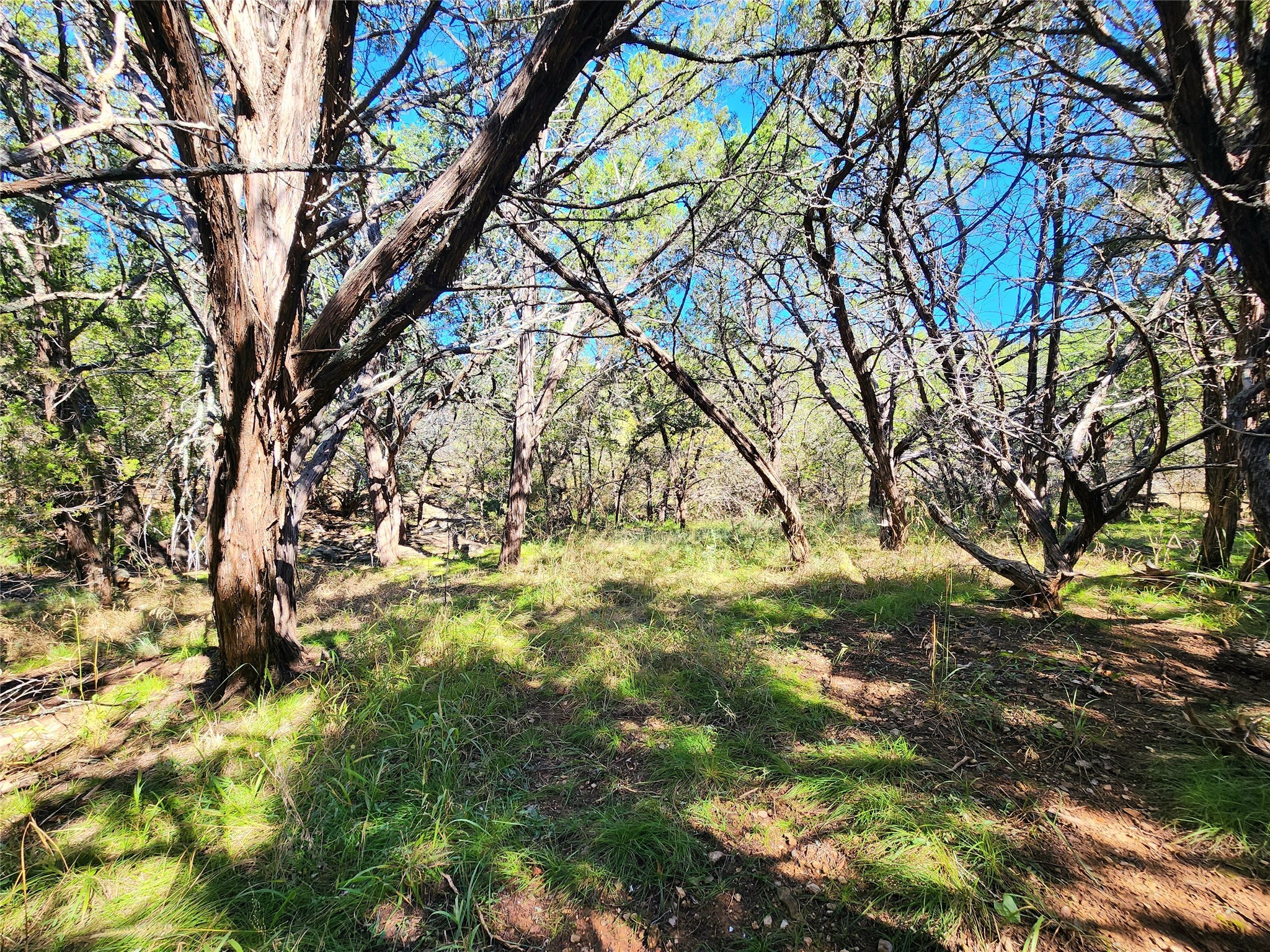 000 Forest Dr Property Photo 8