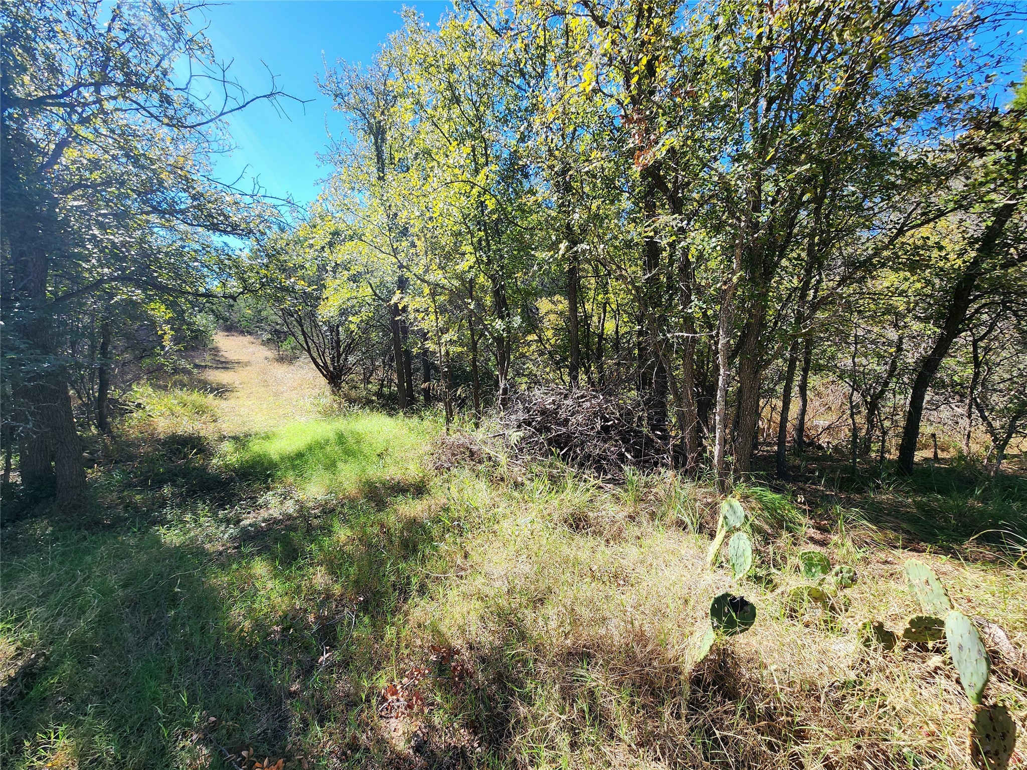 000 Forest Dr Property Photo 10