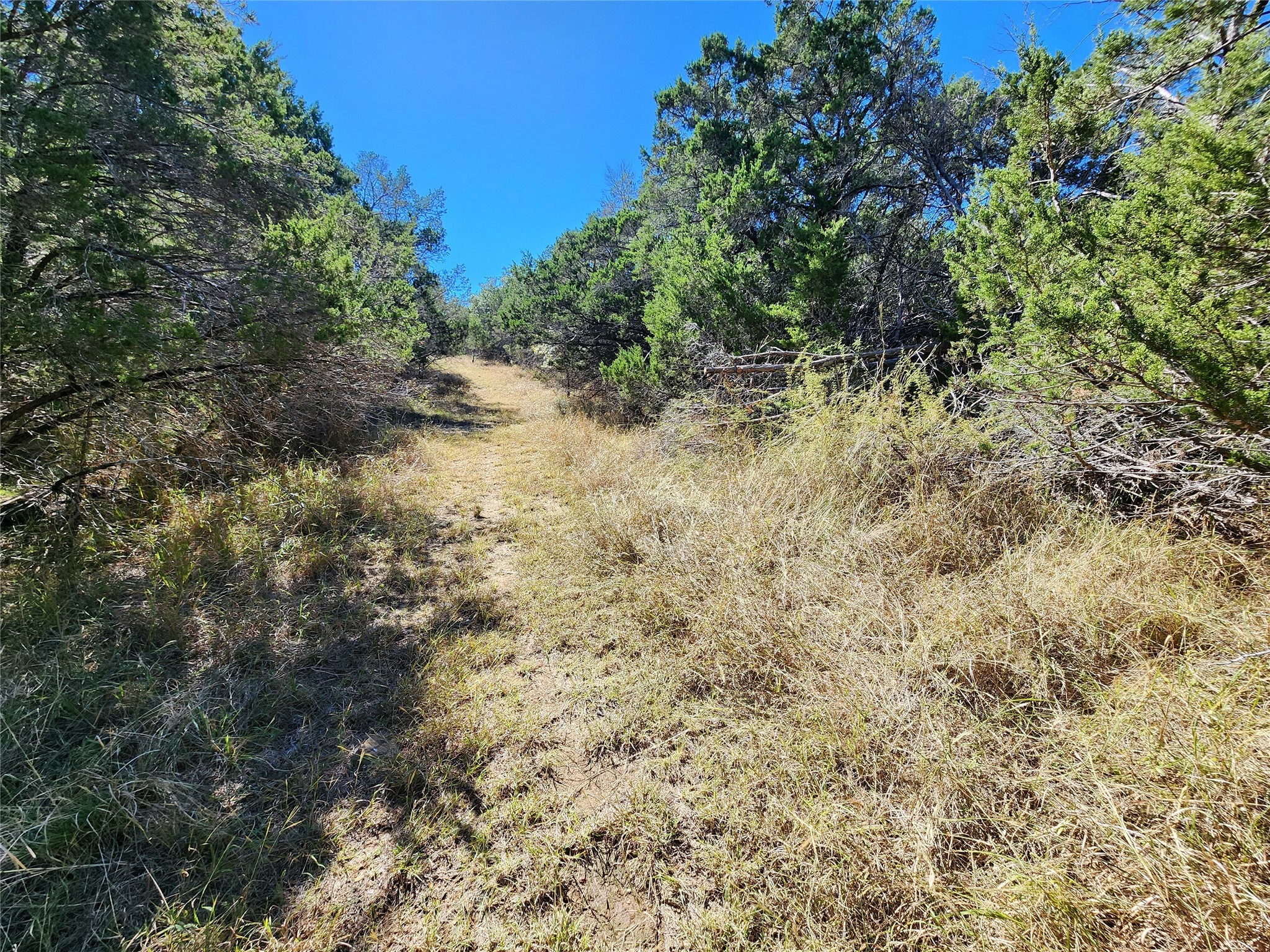 000 Forest Dr Property Photo 11