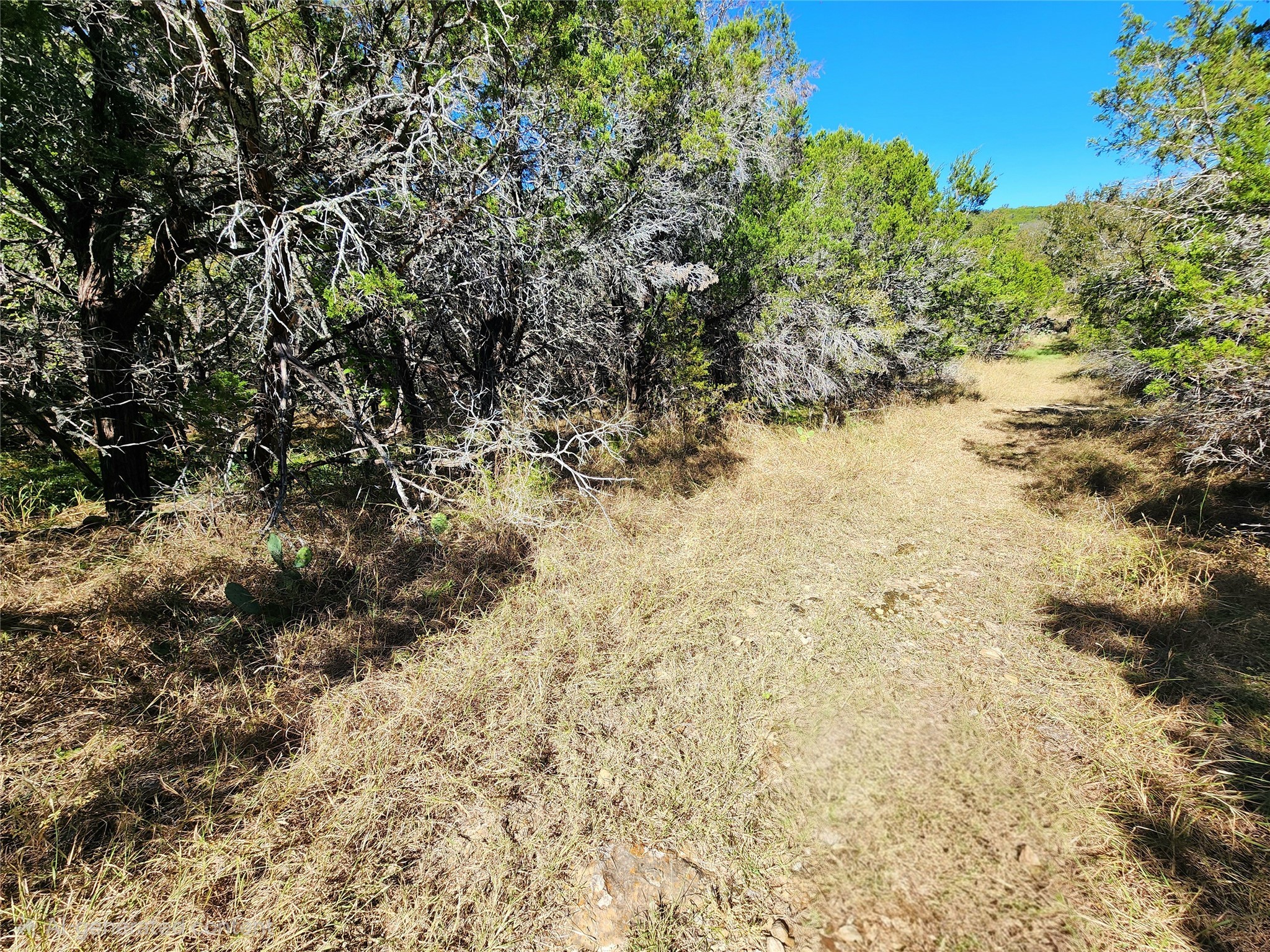 000 Forest Dr Property Photo 12
