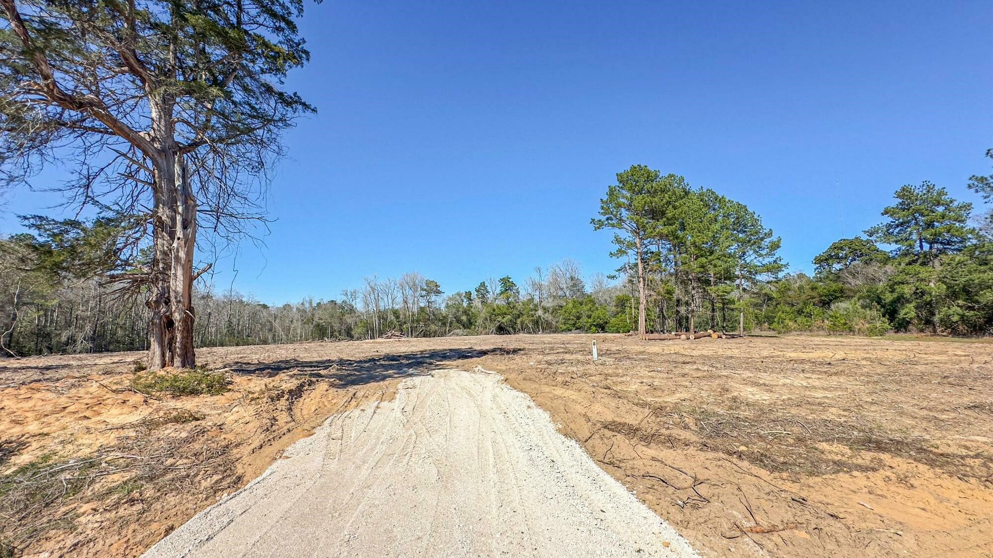 Tbd Tx-105 Property Photo 14