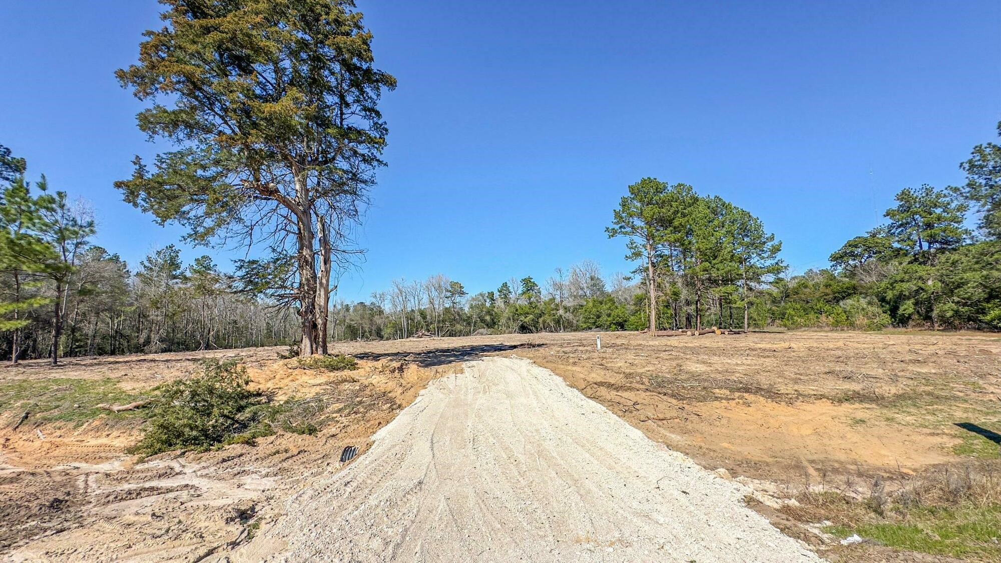 Tbd Tx-105 Property Photo 15