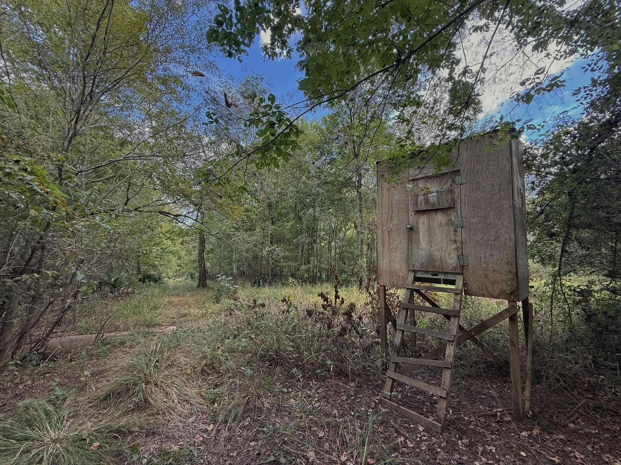 26 Ac Pr 1428 Property Photo 22