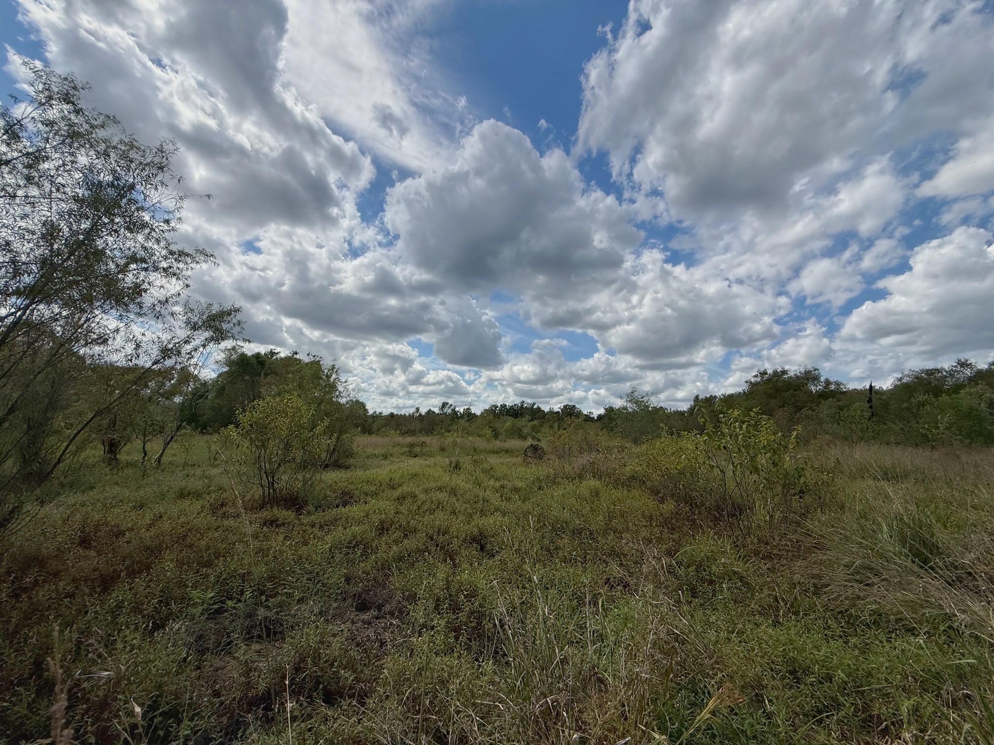 26 Ac Pr 1428 Property Photo 25