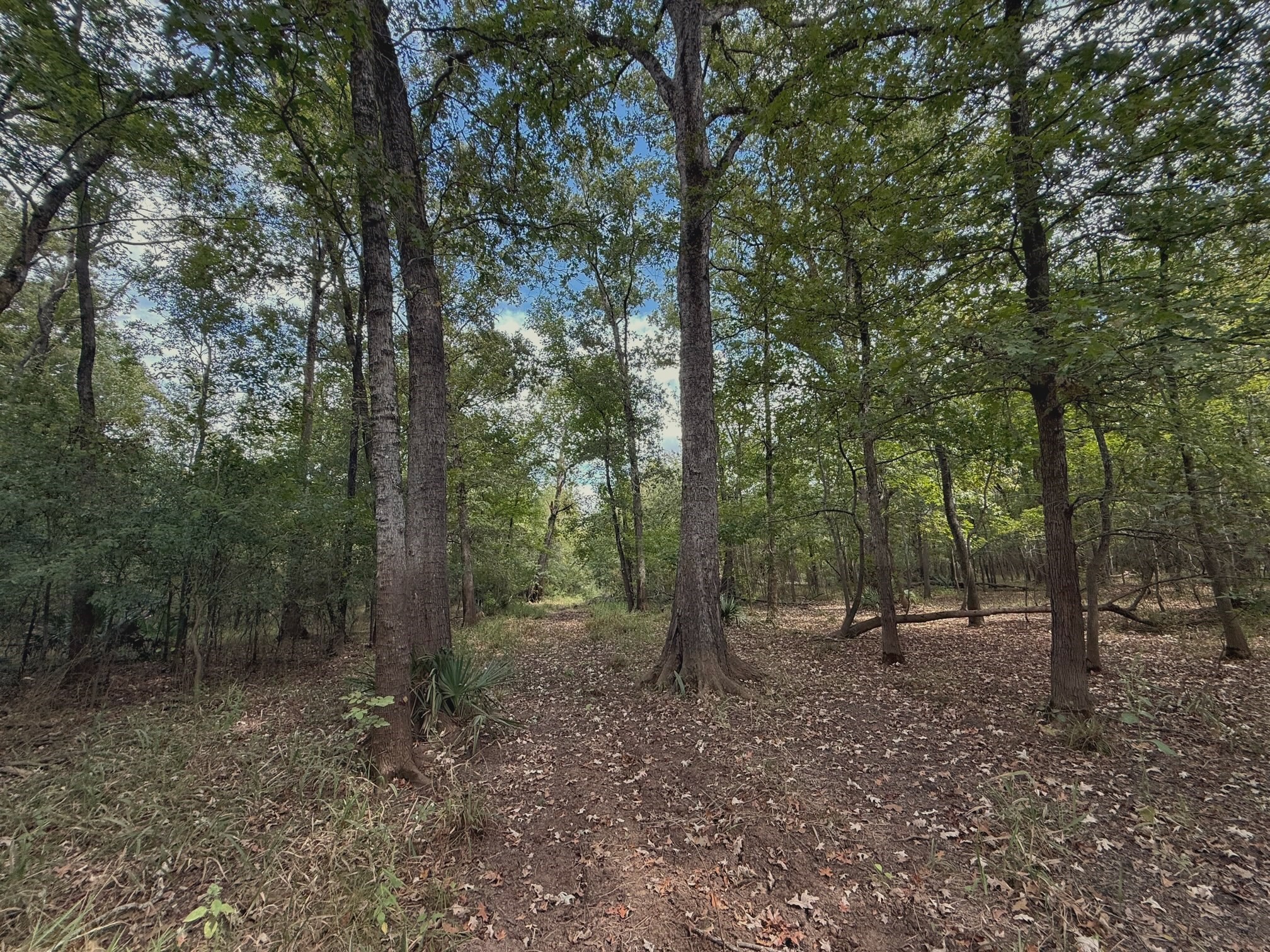 26 Ac Pr 1428 Property Photo 26
