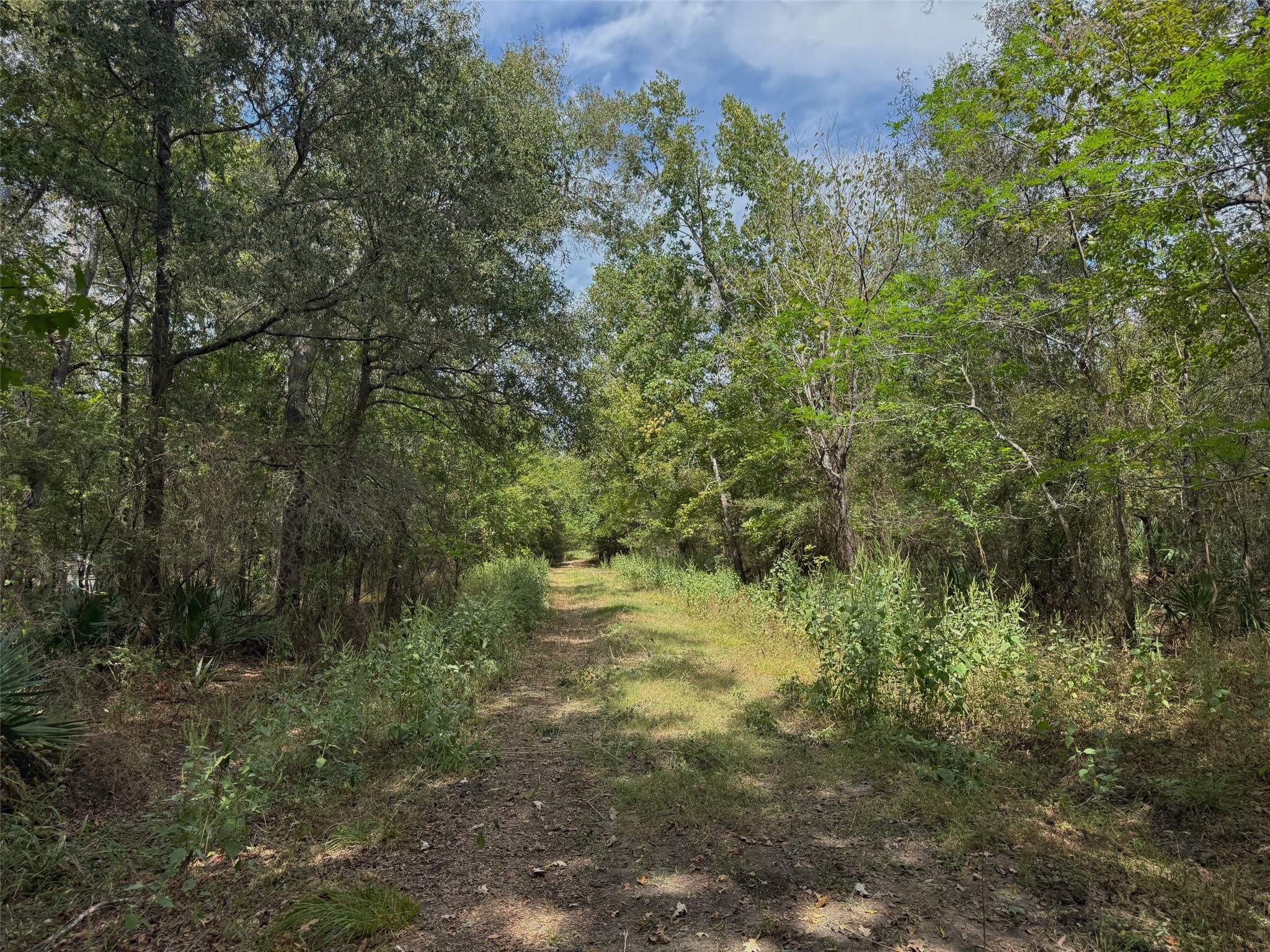 26 Ac Pr 1428 Property Photo 27
