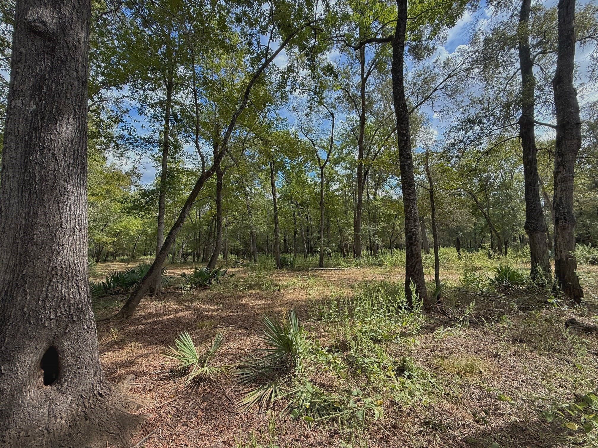 26 Ac Pr 1428 Property Photo 28